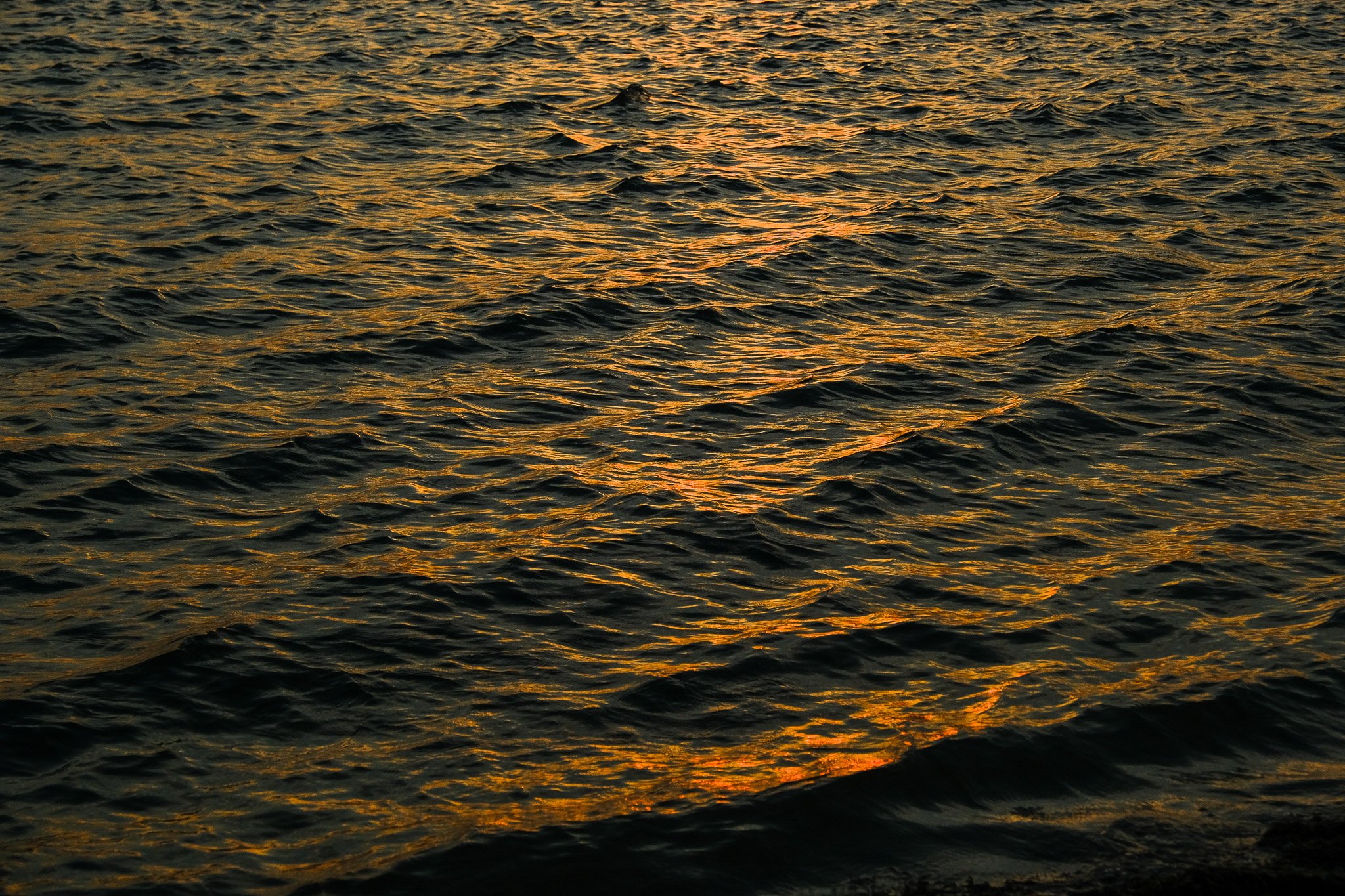 DSCF1736.jpg