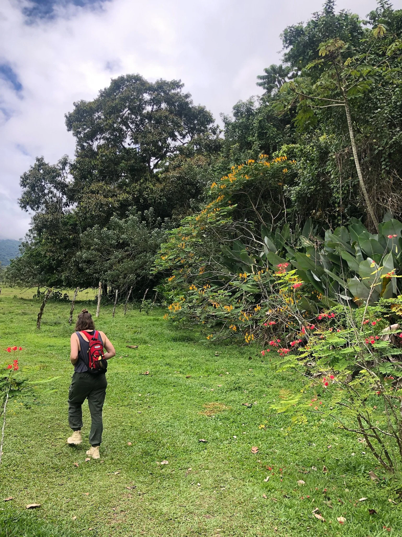 Person walking on a grassy field with a red backpack, surrounded by green plants and trees, under a partly cloudy sky.
