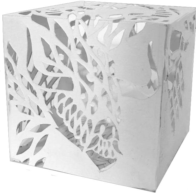 Shadow cube 2