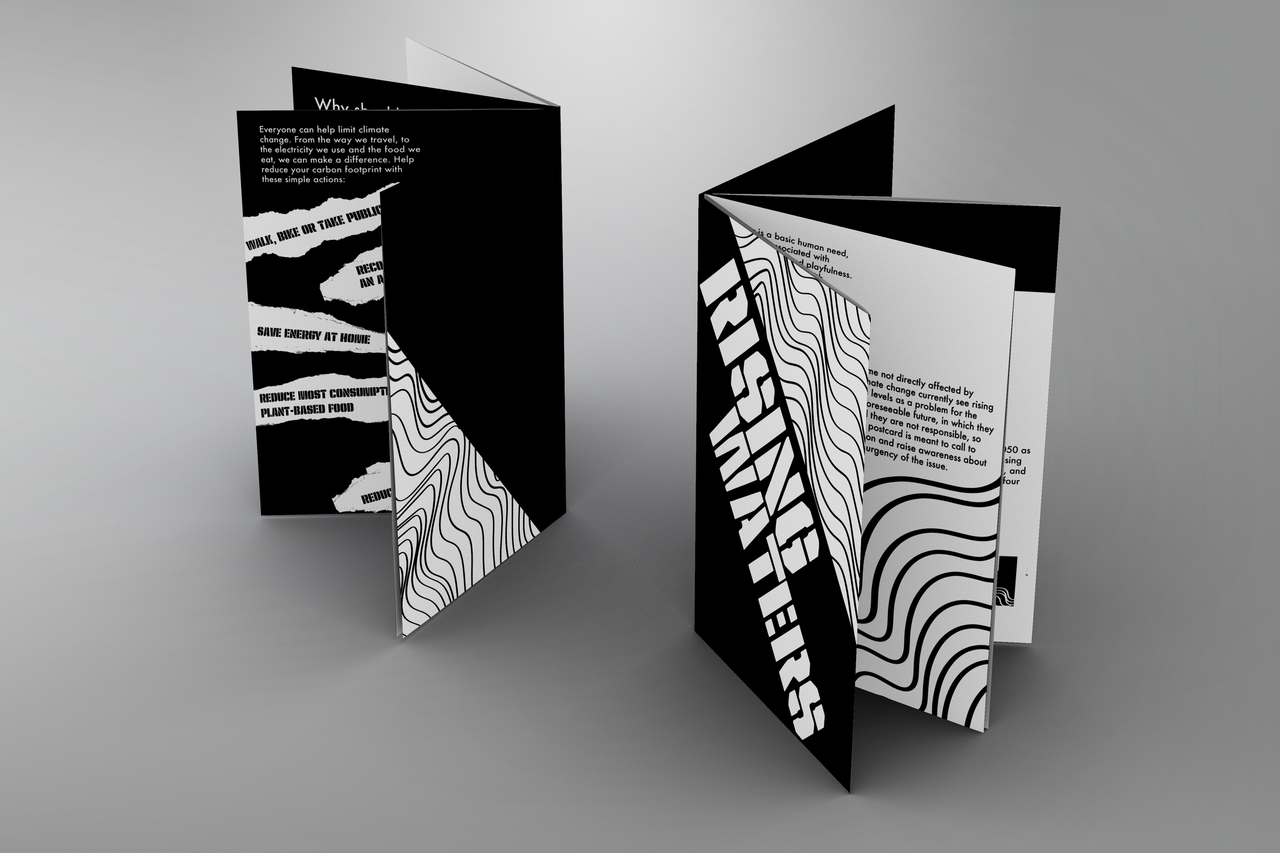 Rising waters zine mockup 6.png