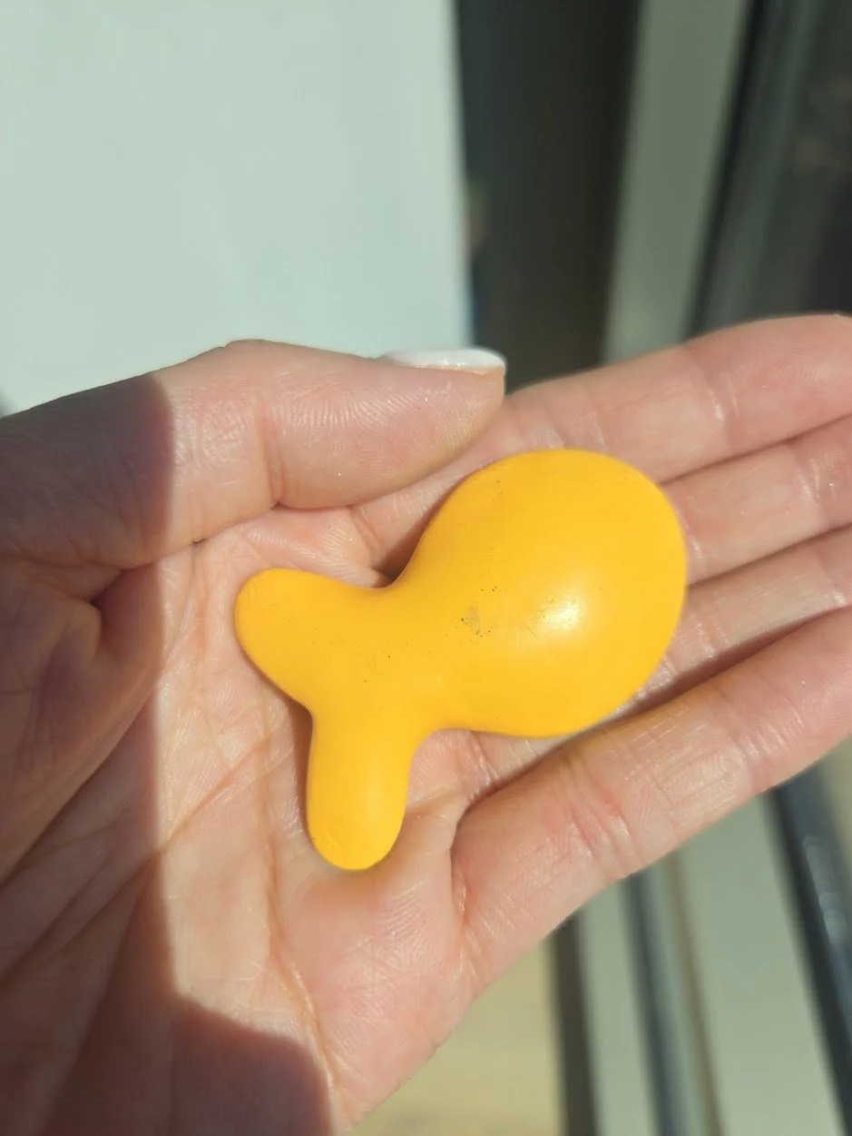 goldfish in hand.jpg