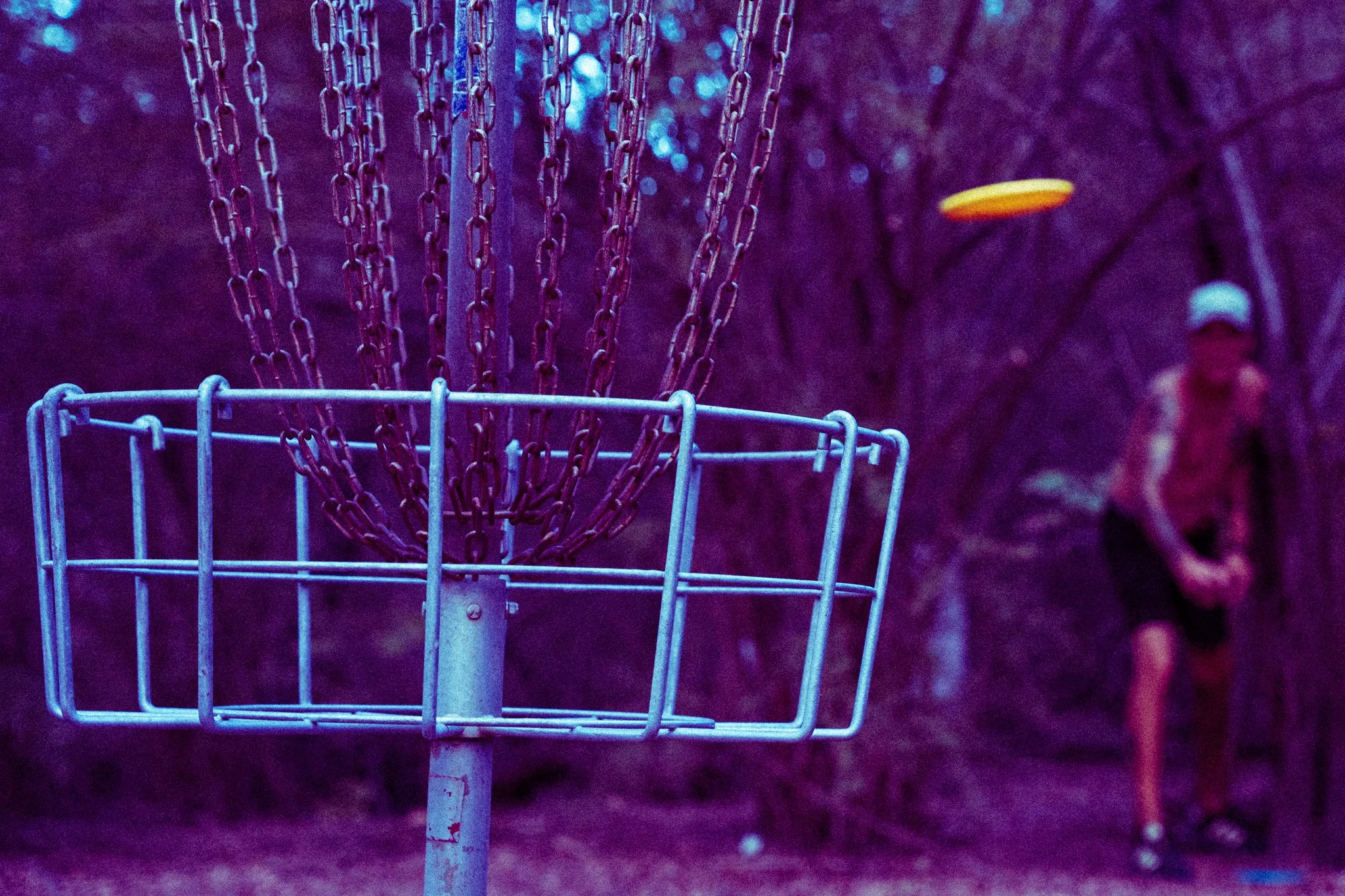 TST00170.jpg