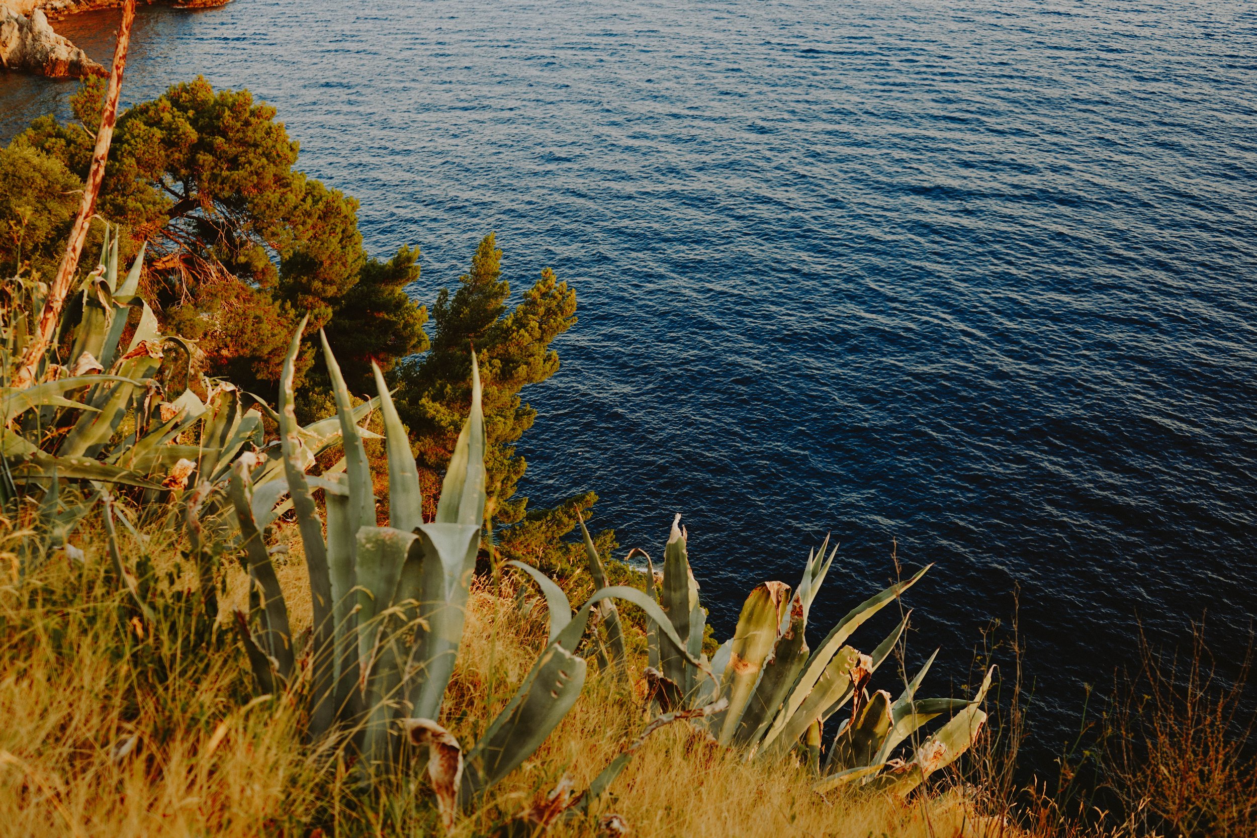 DSC09771-2.jpg