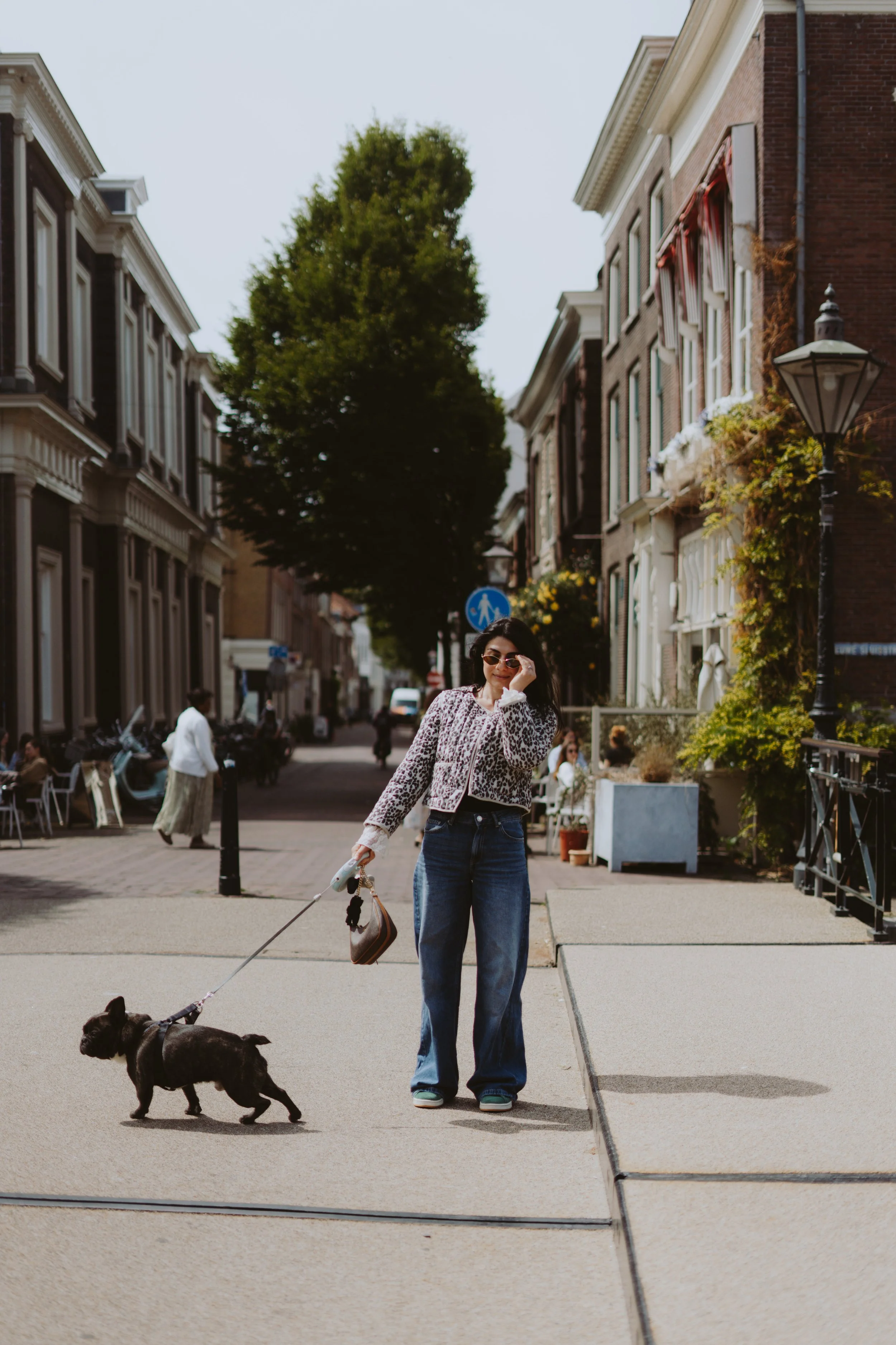 Woman walking a dog on a city sidewalk with buildings and trees in the background.