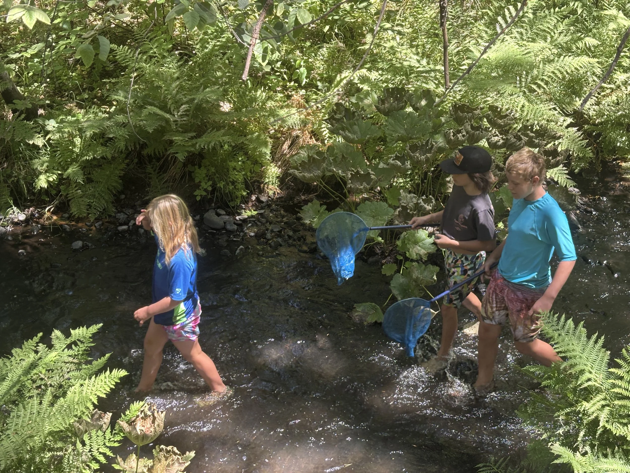 Forest School Adventure Camp -- Session 7 —  Aug 3-5 —  MTW  — The Sky Above