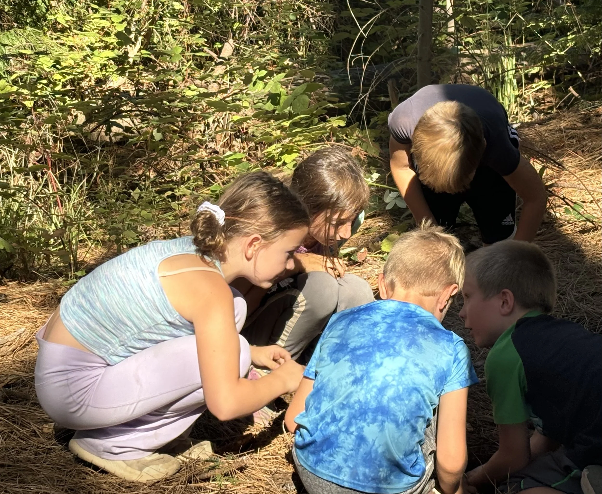 Children crouched down outdoors among green plants and foliage.