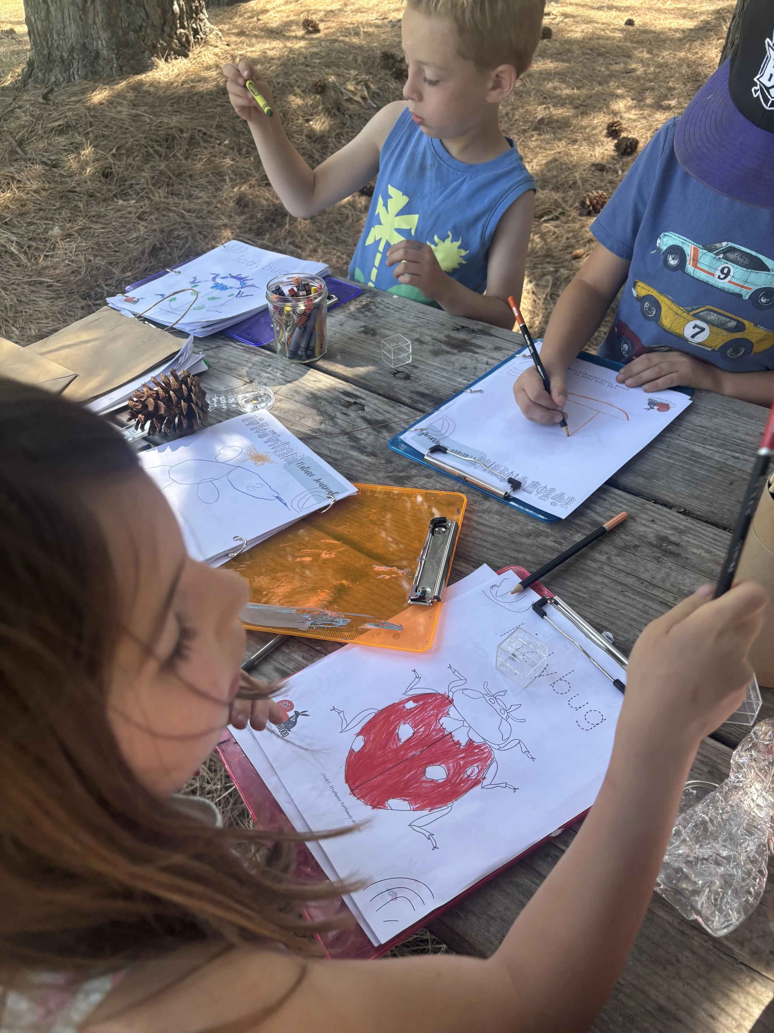 Forest School Adventure Camp -- Session 5 — July 12-14 — MTW — Minibeast Bonanza