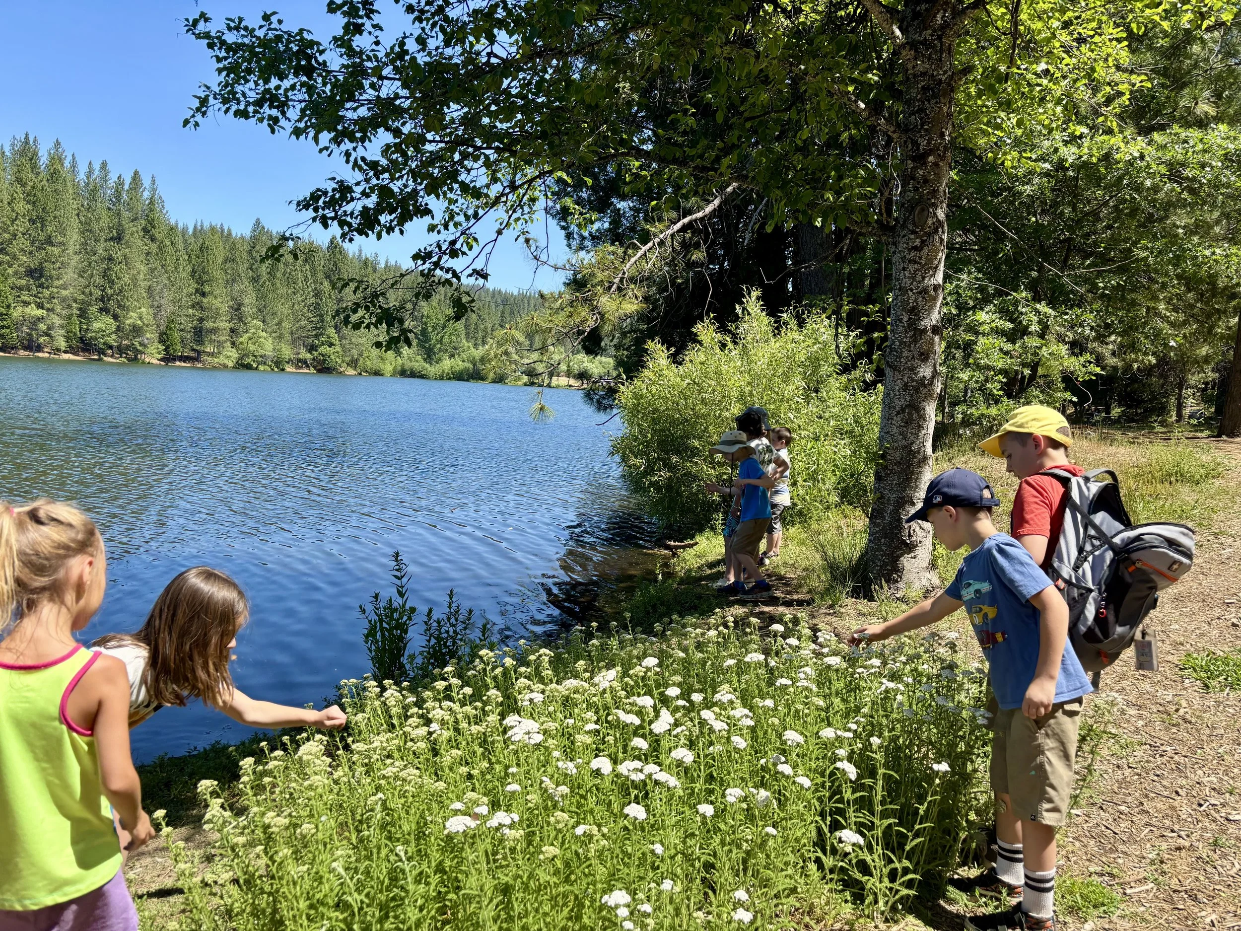 Forest School Adventure Camp-- Session 3 -- June 29-July 1 --  MTW-- Flower Power