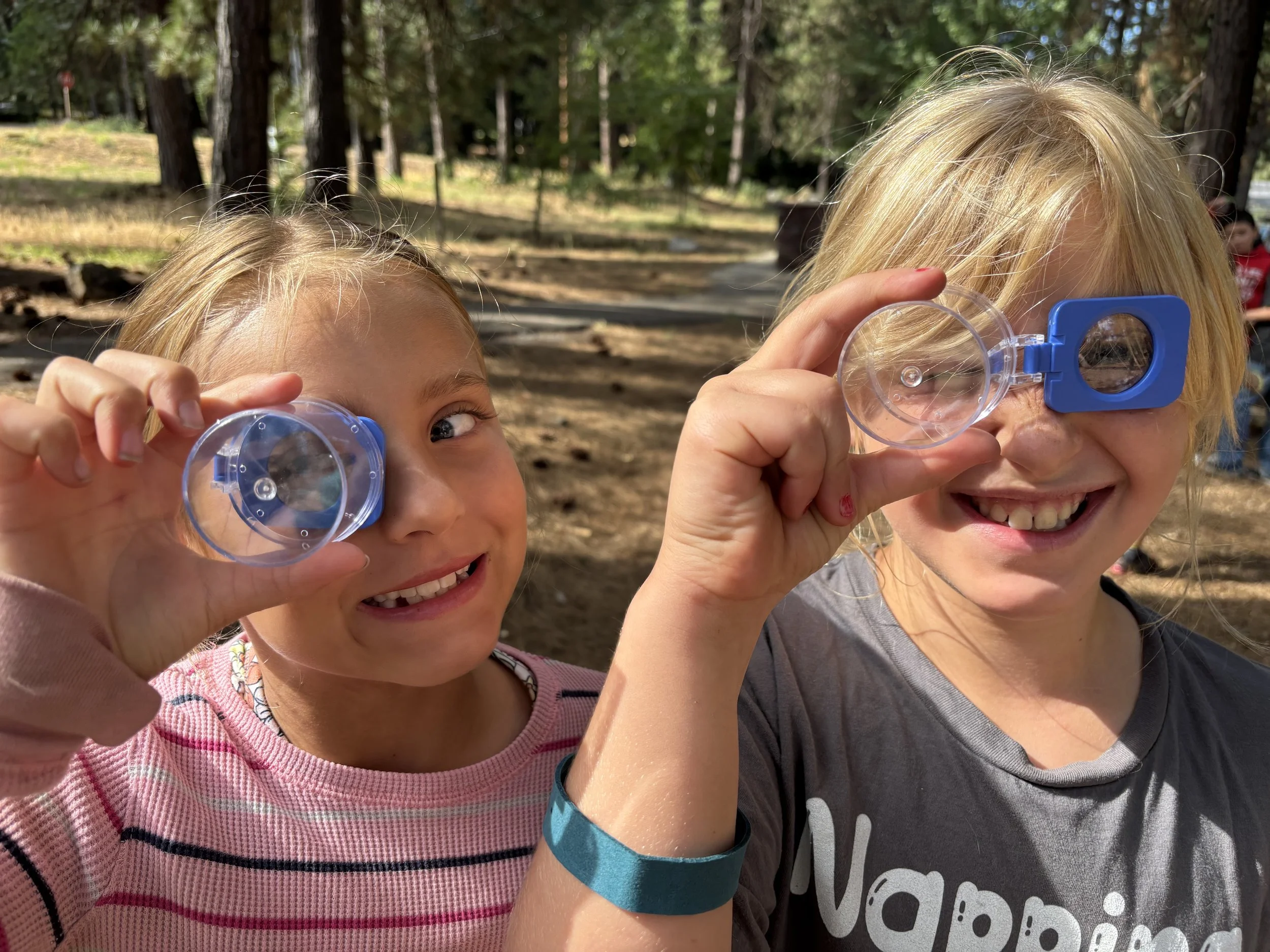 Forest School Adventure Camp -- Session 4 --  July 6-8 --  Scale Tales: Reptiles