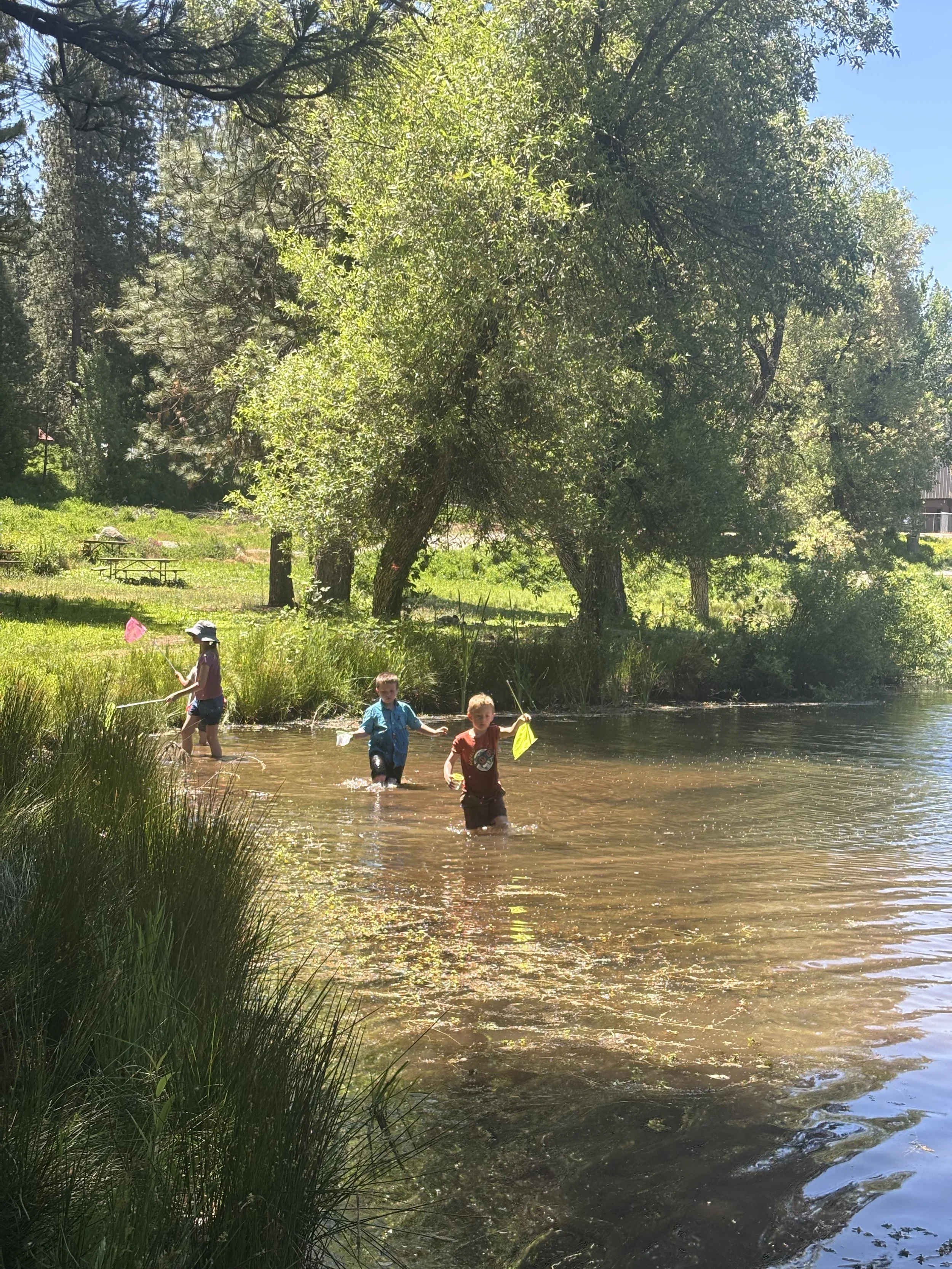 Forest School Adventure Camp - Session 1 -  June 8-12 - MWF  - The Life Aquatic