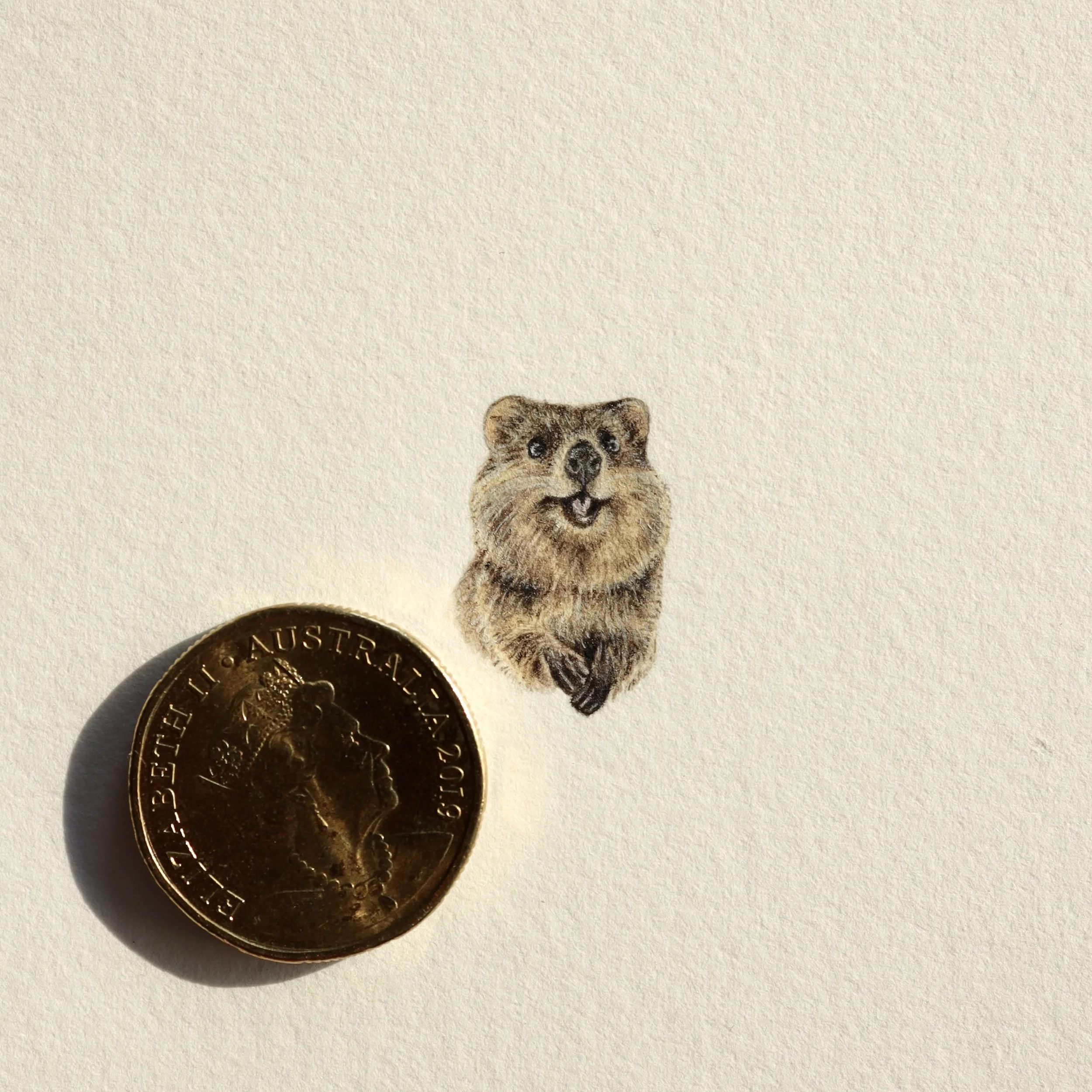 Quokka (sold)
H2.3cm x W1.5cm
