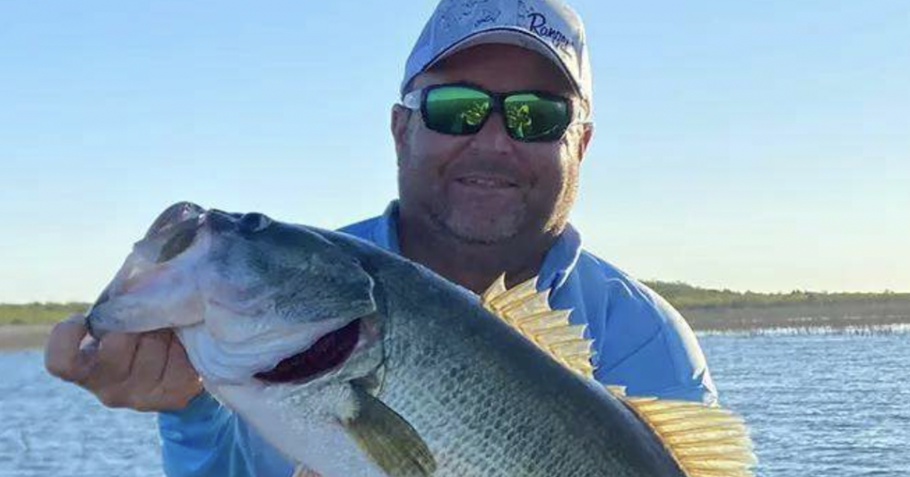 Nashville Post: Q&amp;A: Brian Bird, World Bass Enterprises