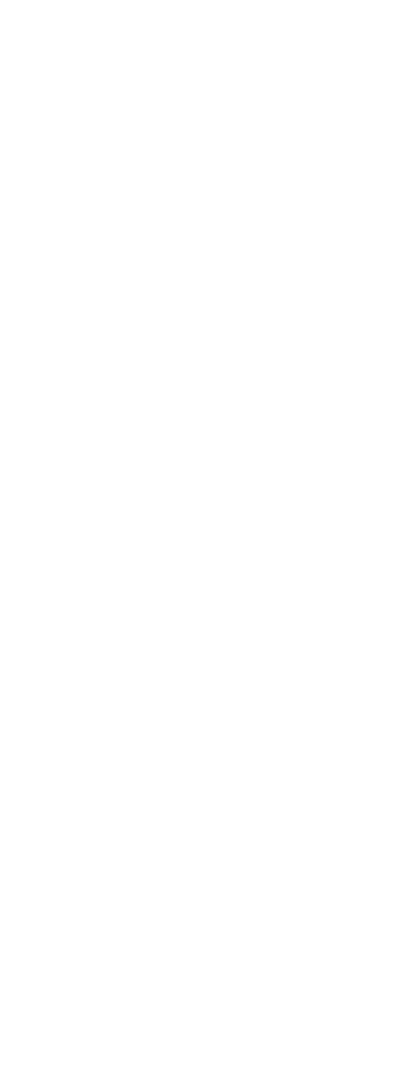 Black and white logo with stylized text and a flame graphic.
