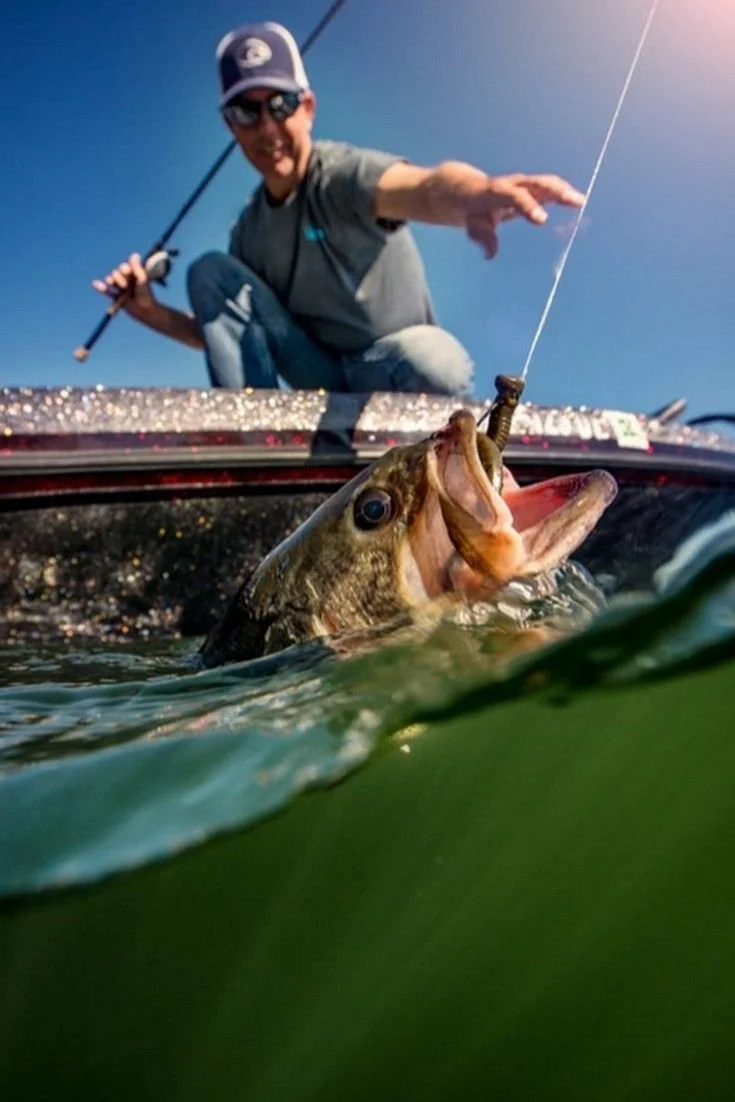 A person in a boat holding a fishing rod with a large fish, possibly a bass, caught on the line, with the fish emerging from the water and the angler reaching out.
