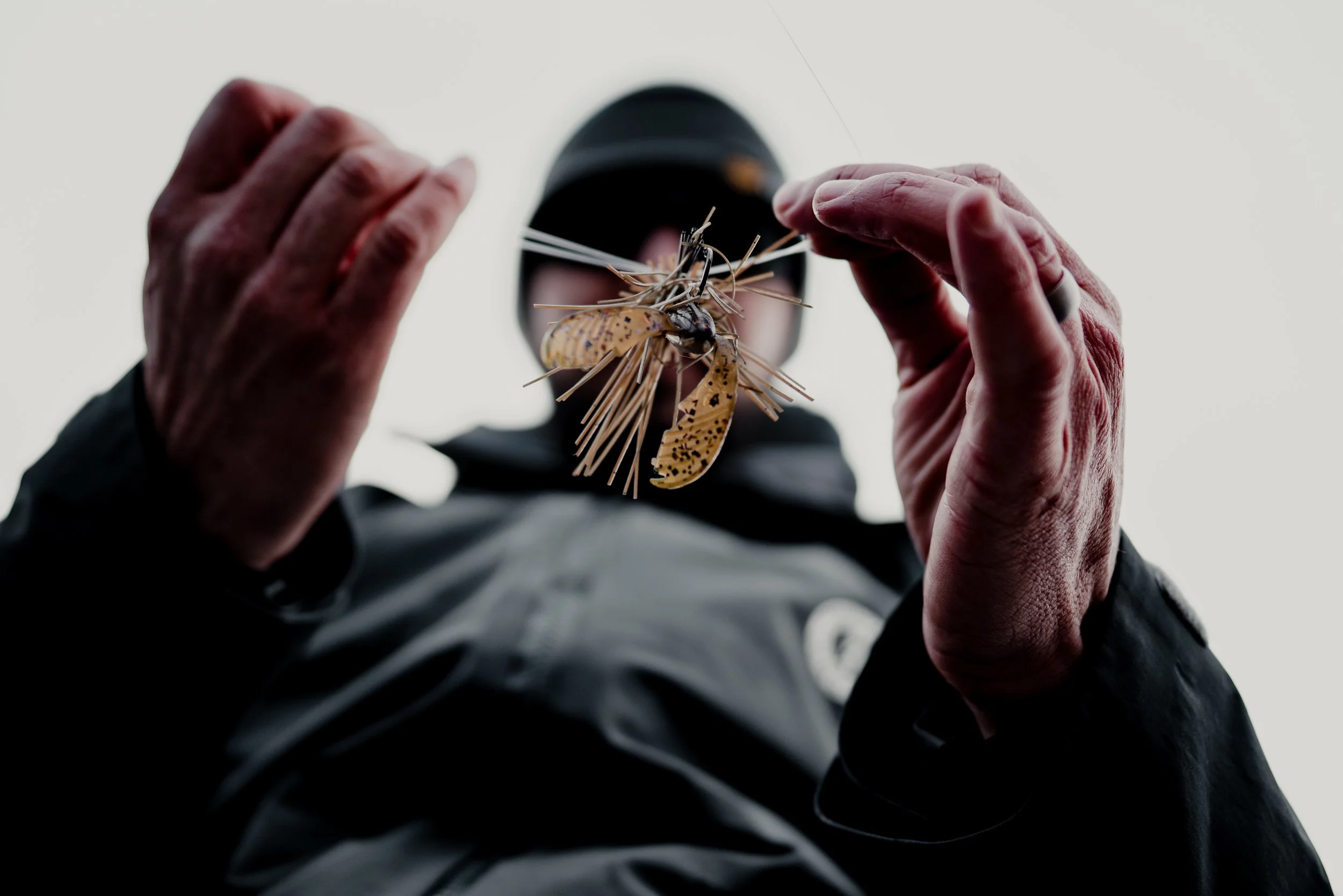 A person with aged hands holding a moth or butterfly with long antennae and patterned wings, viewed from below against a plain light background.