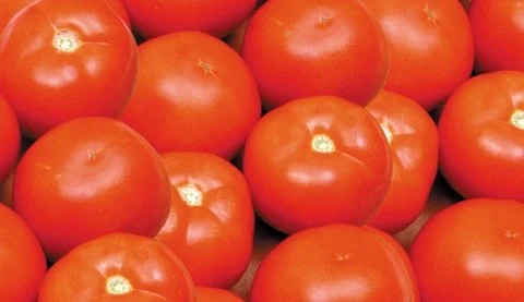 Ethylene…more than just a “gas”