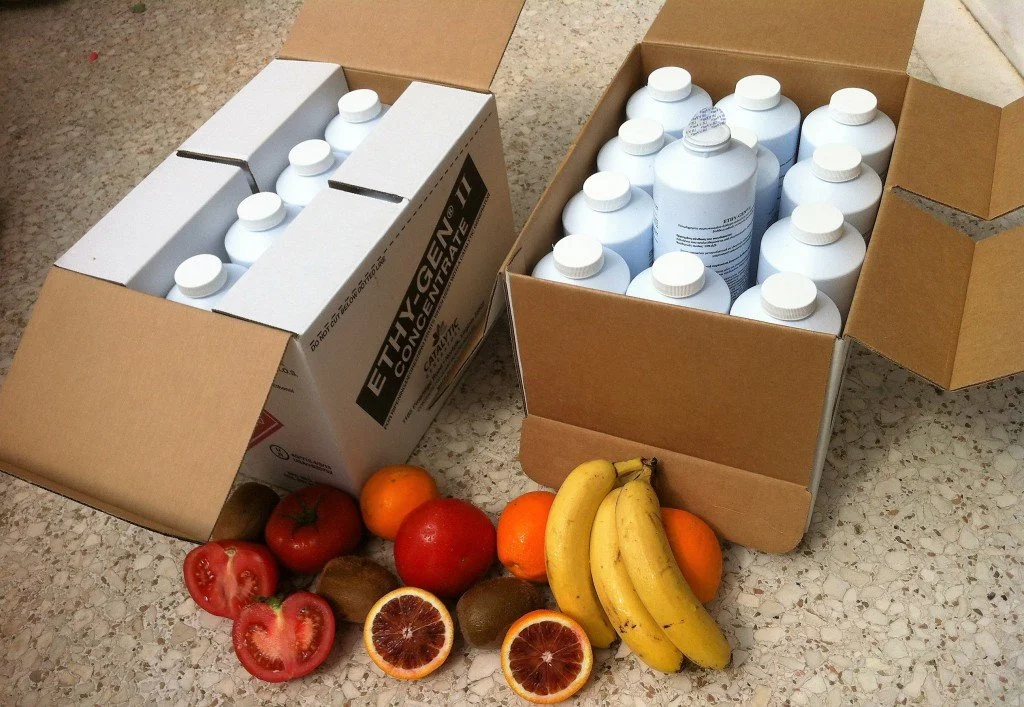 Making Safety a Priority while Ripening your Produce