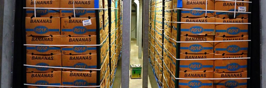 Pressurized ripening room