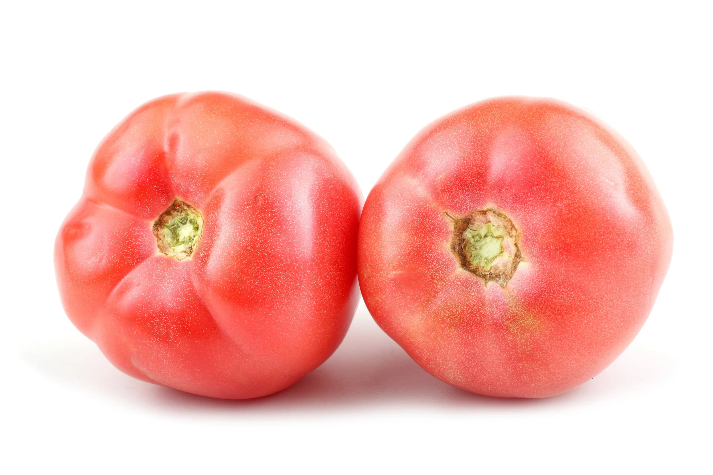 Two ripe red tomatoes with imperfect shapes on a white background.