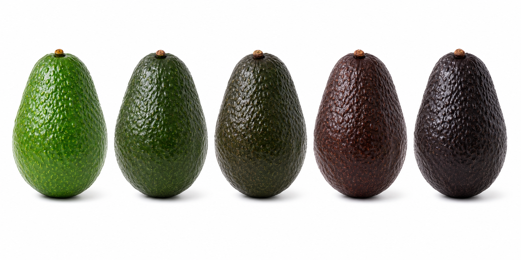 Avocado Ripening: How Catalytic Generators Supports the Ready-to-Eat Trend with Reliable Ethylene Application