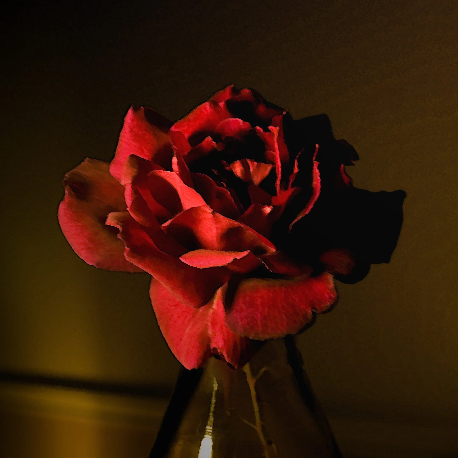 Close-up of a red rose in a vase against a dark background