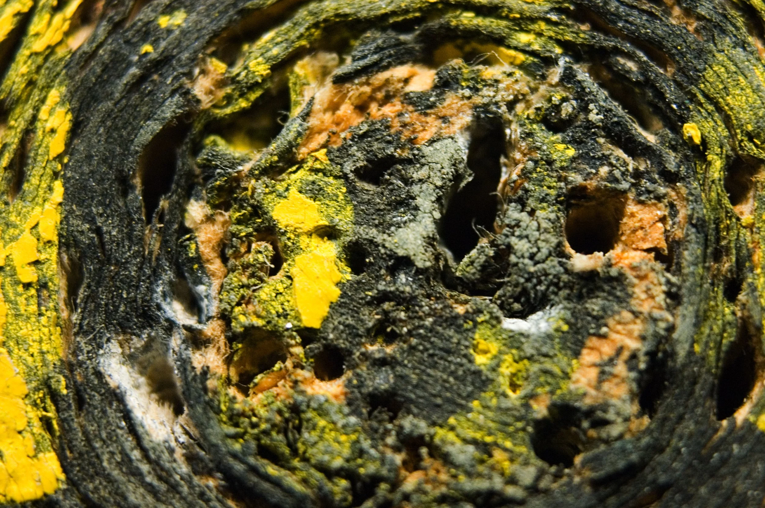 Close-up of textured, multicolored rock surface with yellow and black details.