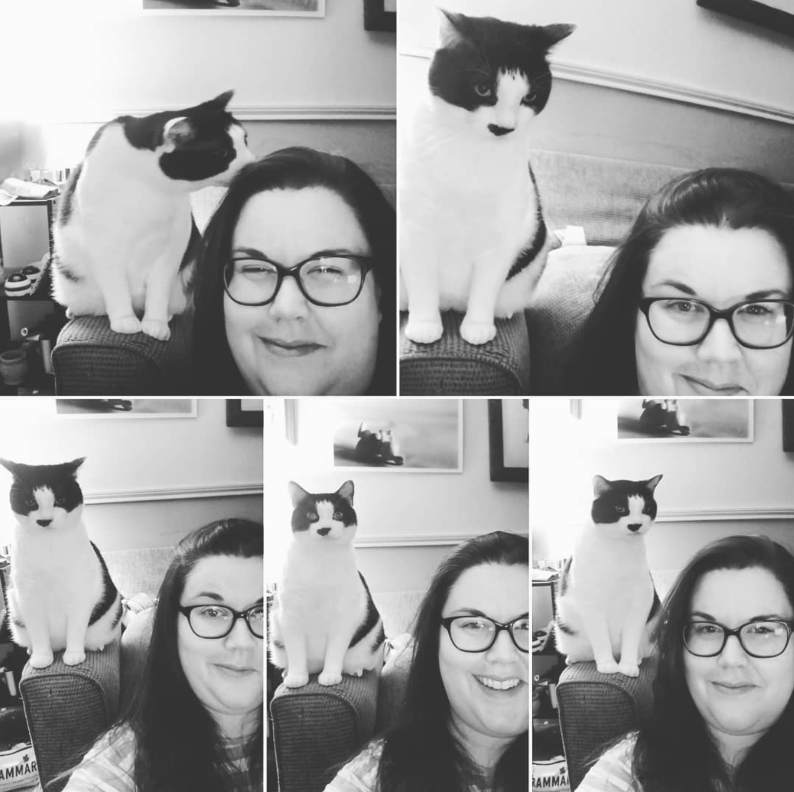 Collage of black-and-white photos featuring a woman with glasses sitting beside a cat on a couch. The cat has a black and white coat and is seen sitting or looking at the woman. The setting appears to be a living room with framed photos on the wall.