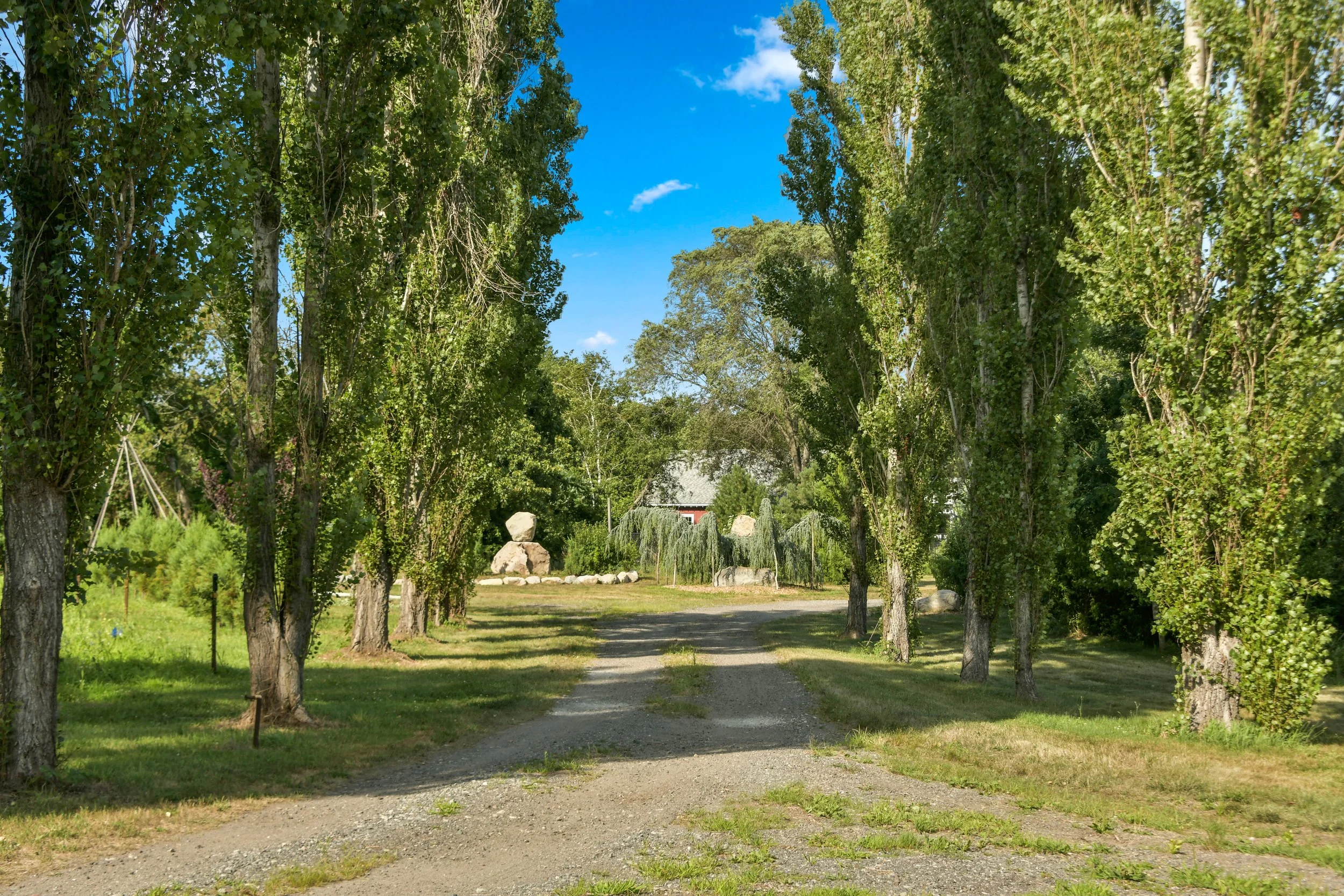 DSC_3477.jpg
