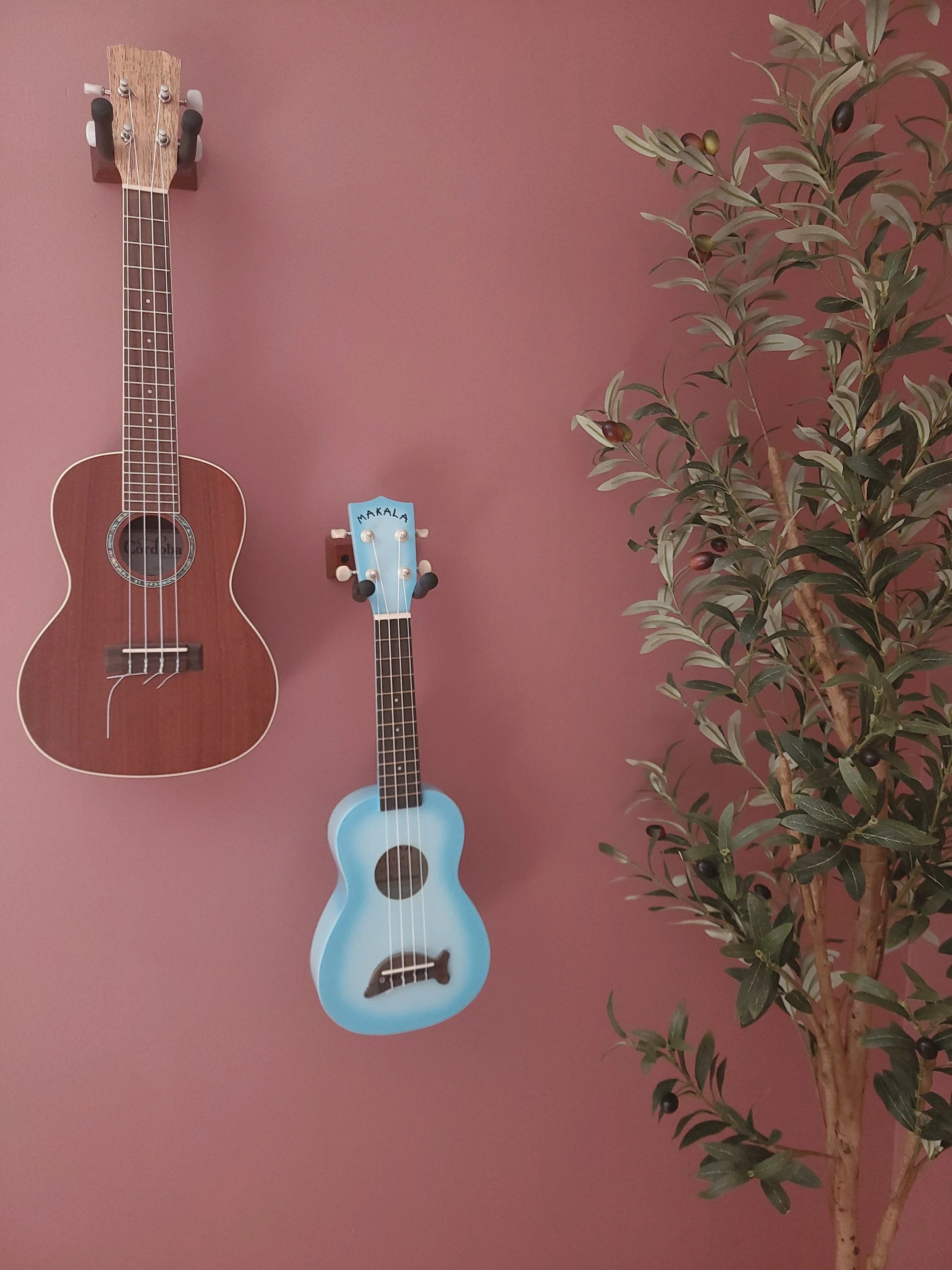 Two ukuleles hanging on a pink wall with a potted plant on the right side.
