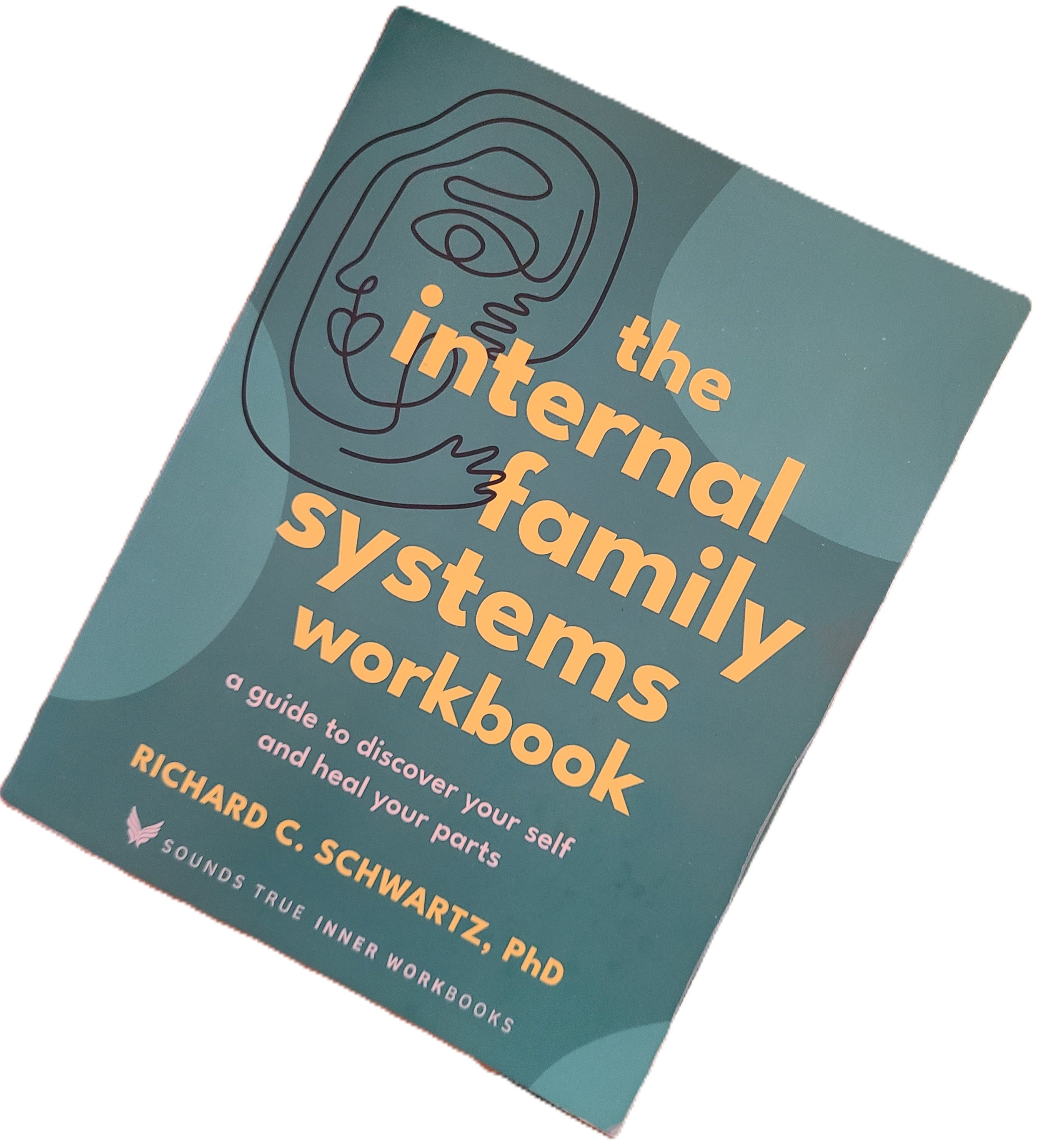 A book titled 'The Internal Architecture of Systems: Workbooks' with a line drawing of a human face on the cover, lying at an angle on a flat surface.