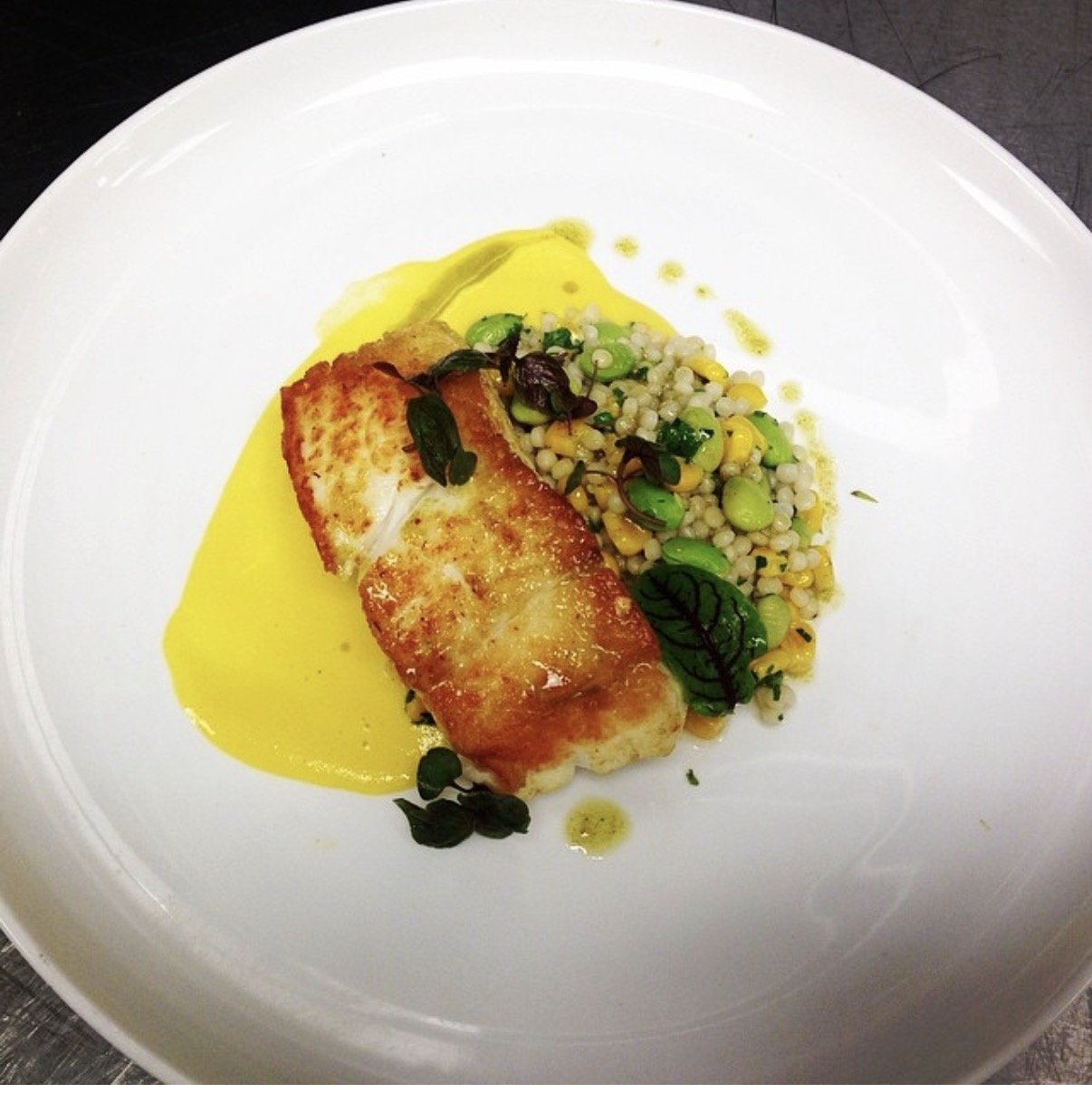 Halibut, Sweet Corn Puree, Pearl Cous Cous, Fava, Smoked Cumin Vinaigrette