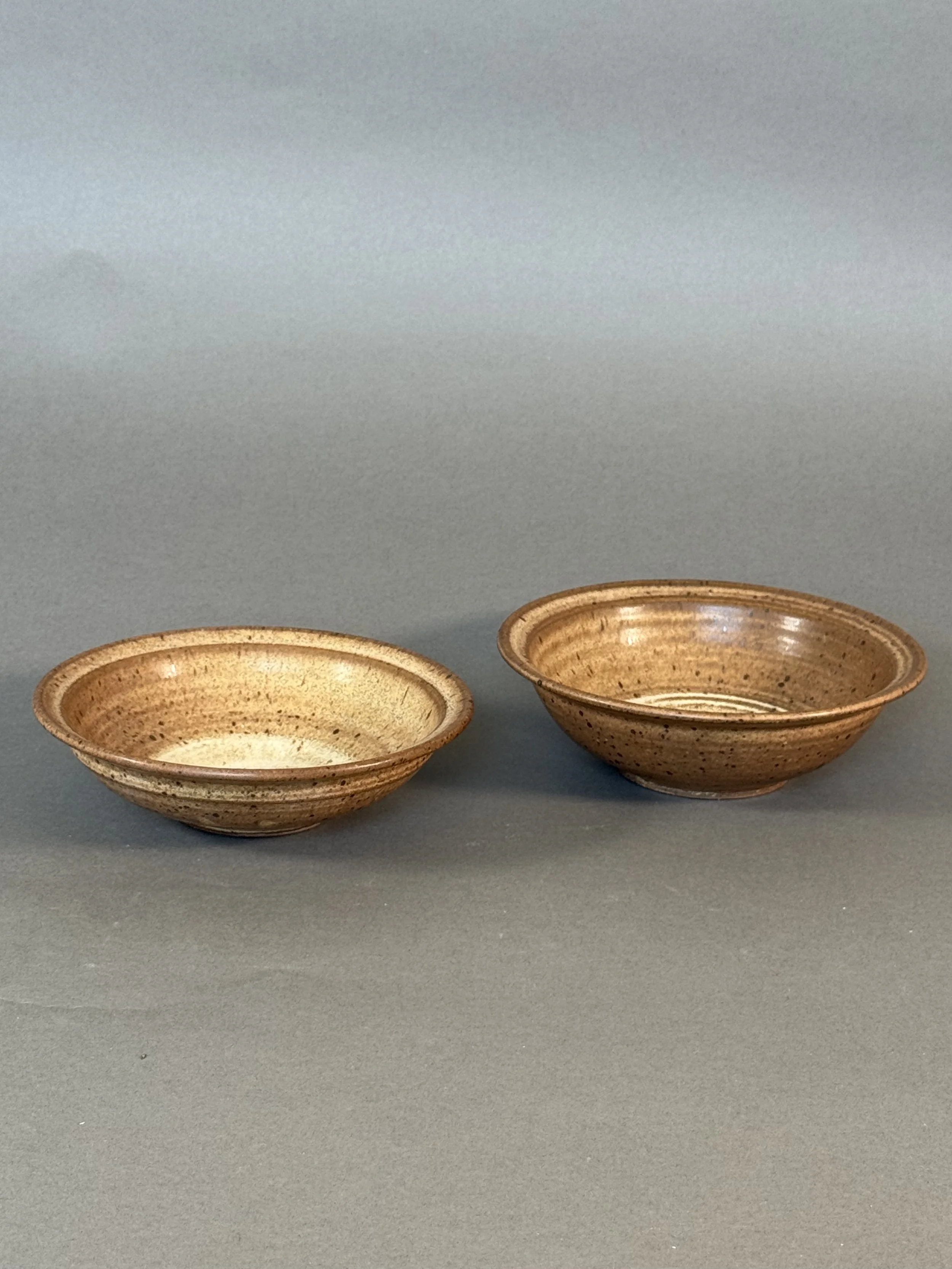 Earth-Toned Ceramic Bowl Set