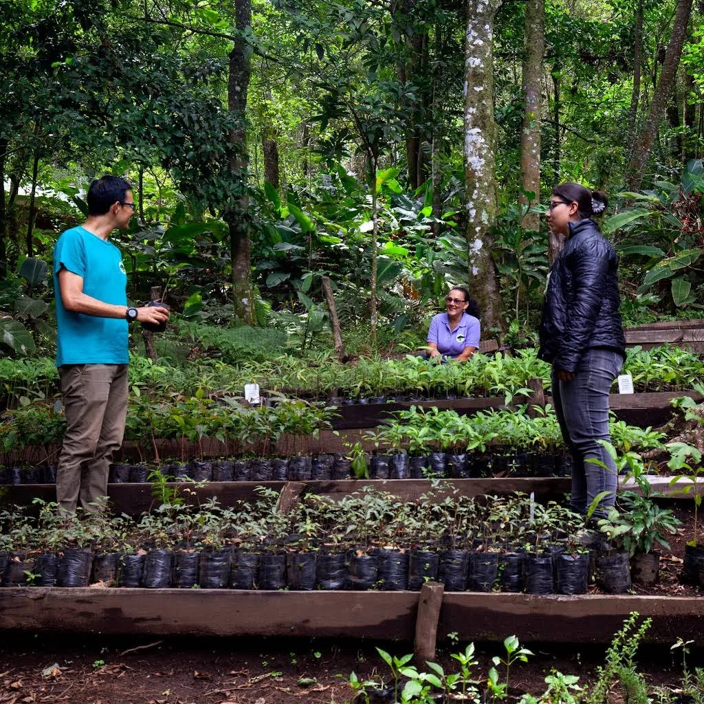 The Crux of Conservation: Debating Ecotourism During the COVID-19 Pandemic in Monteverde, Costa Rica