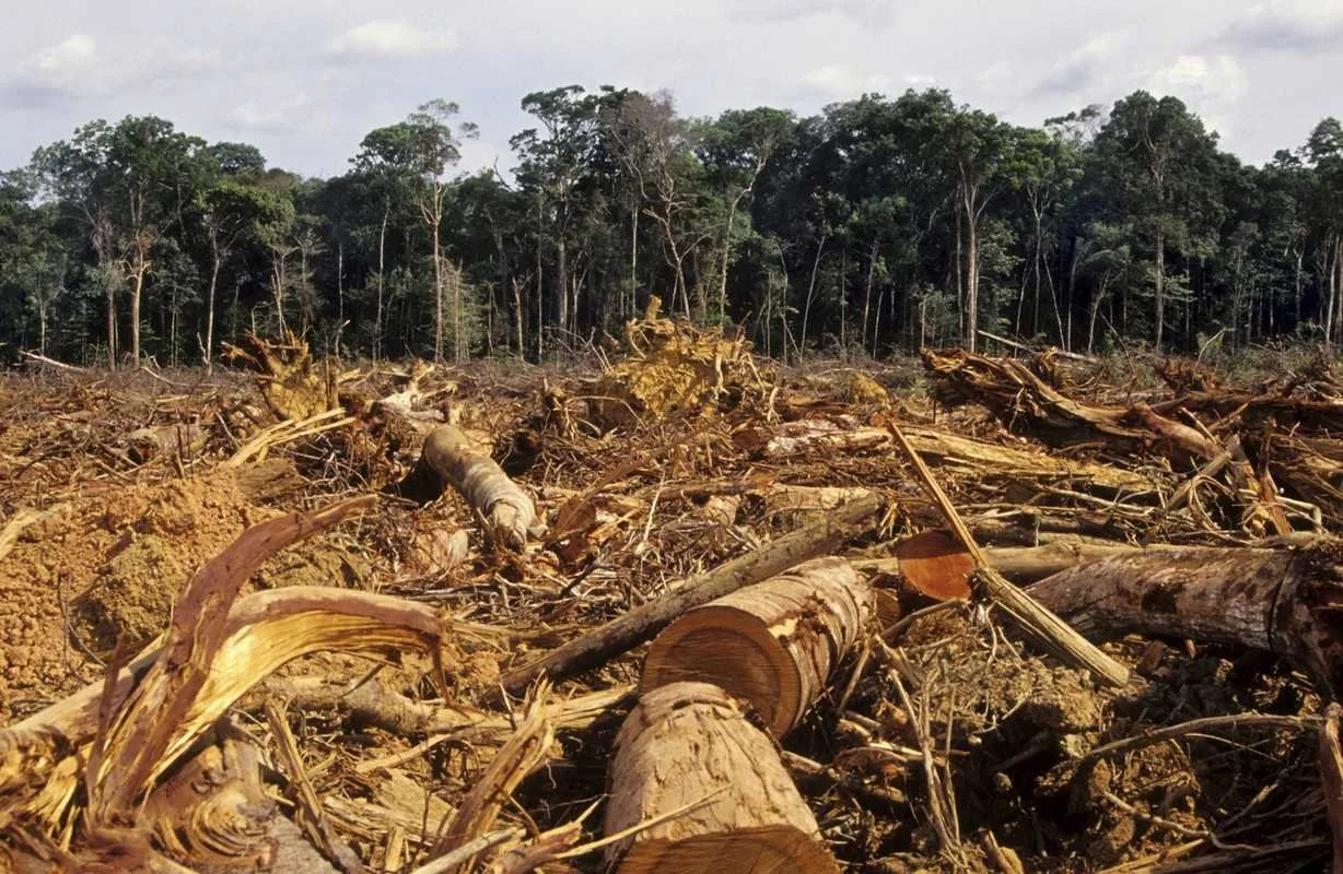 Fighting Criminalization of Indigenous Land Defenders in Peru