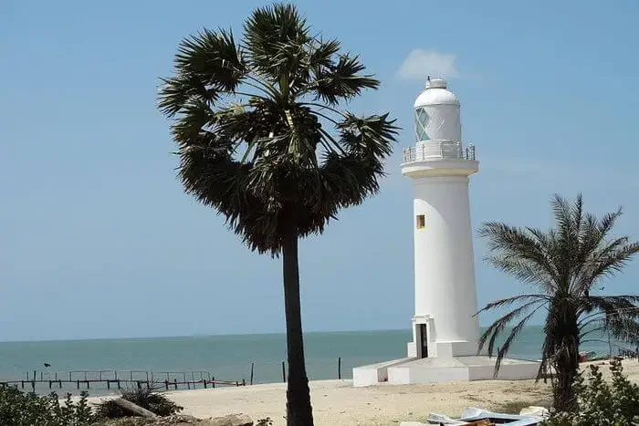 A white lighthouse next to a tall palm tree on a beach with the ocean in the background.
