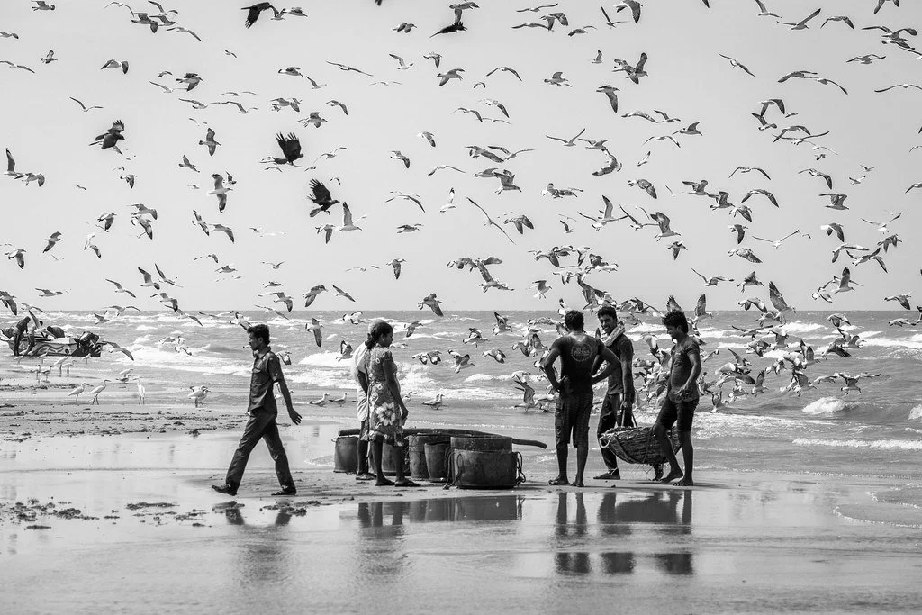 Beach scene with several people and a large flock of birds flying overhead.