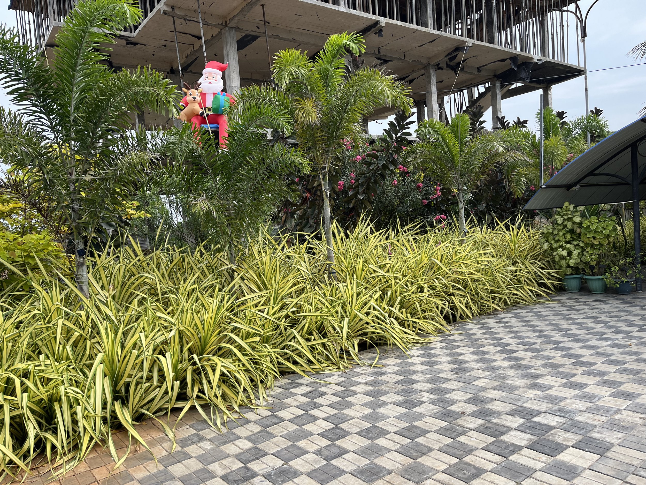Decorative inflatable Santa Claus and reindeer hanging on the side of a building, surrounded by lush green trees and bushes, on a zebra-printed tiled ground.