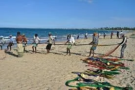 A group of people working together to pull a large fishing net onto a sandy beach.