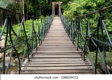 Suspension footbridge over a lush green forest.