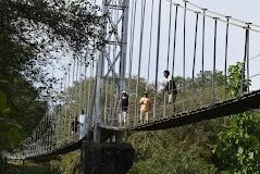 Three children walking on a suspension bridge with metal railings over a wooded area.