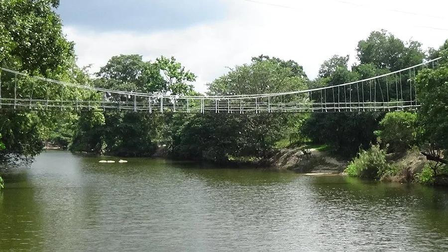 Suspended rope bridge over a river surrounded by green trees.