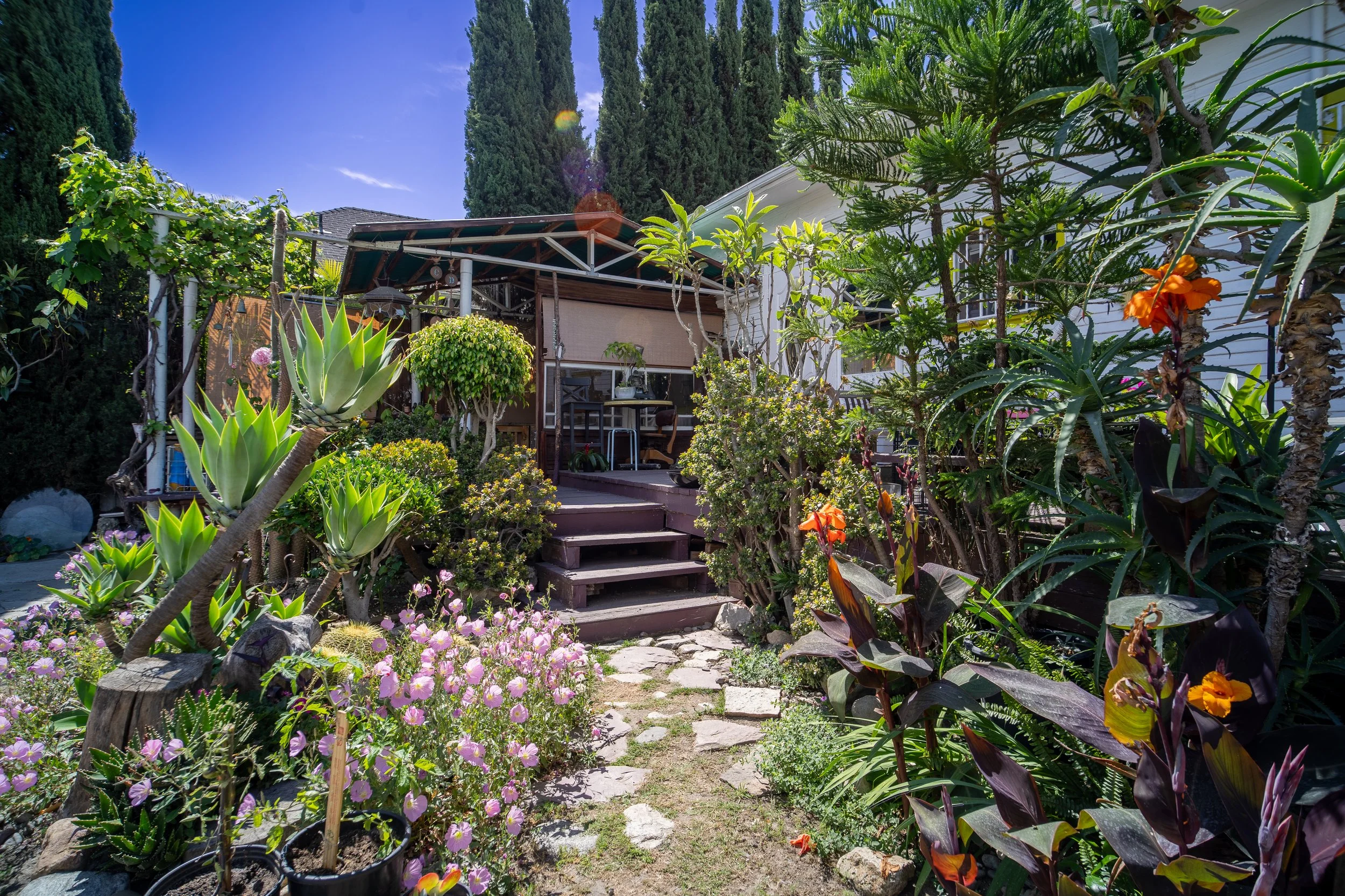DSC07943-HDR.jpg