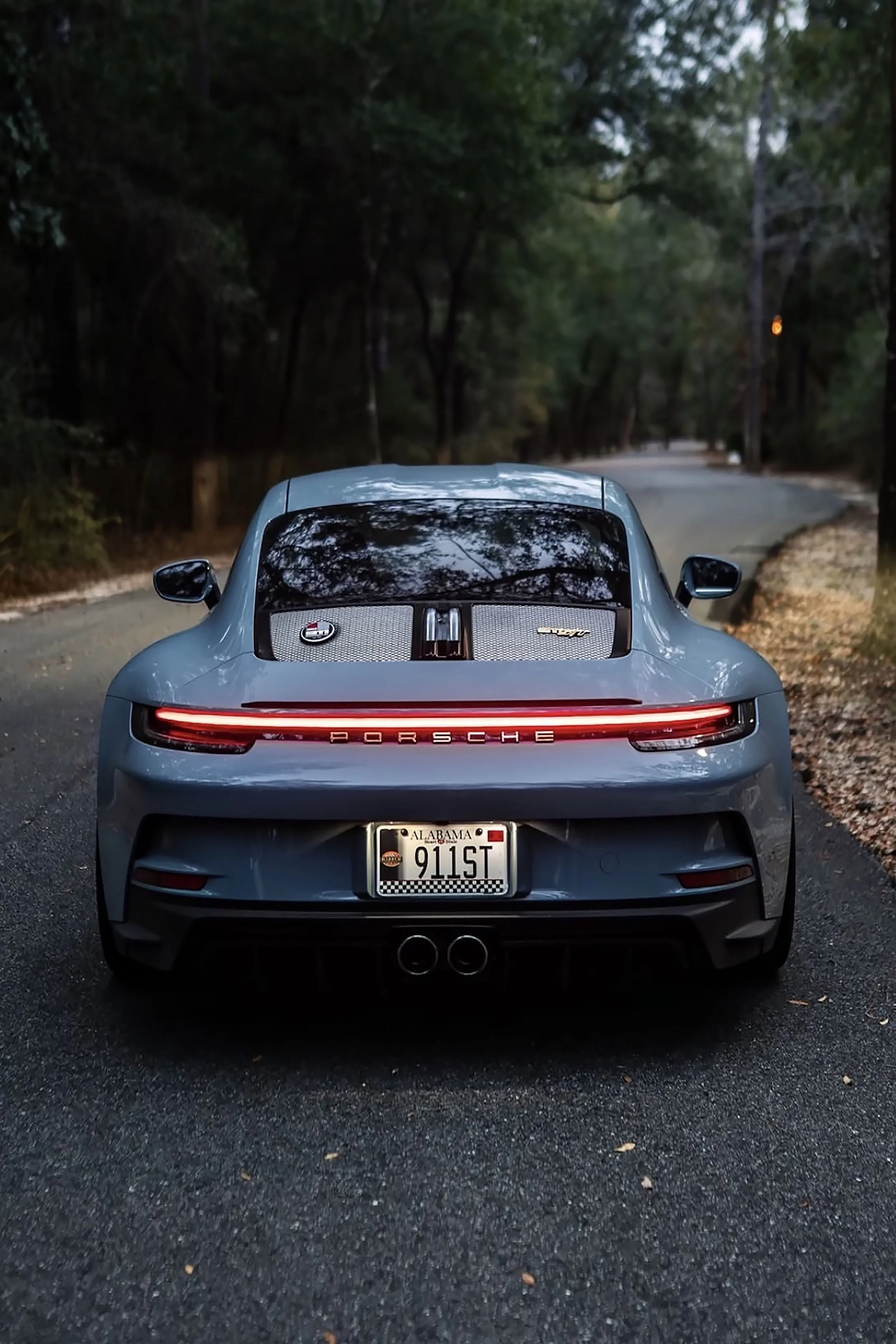 Baby Blue Porsche in woods copy.jpg