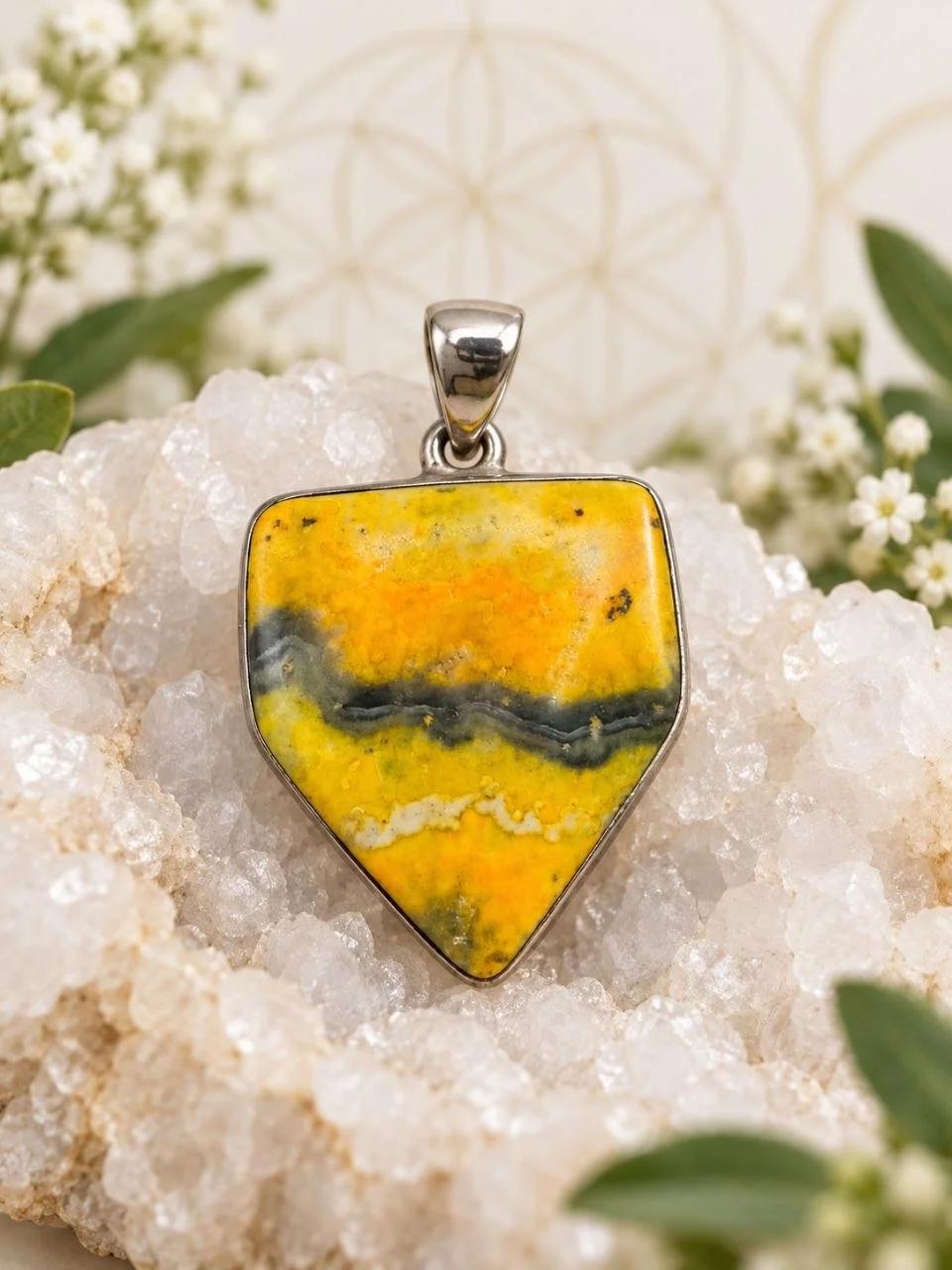 Bumblebee Jasper
