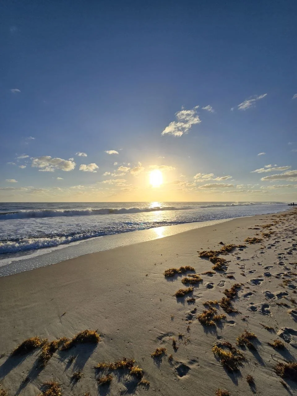 Beach scene during sunset with sandy shore, seaweed, footprints, and calm ocean waves under a blue sky with scattered clouds.