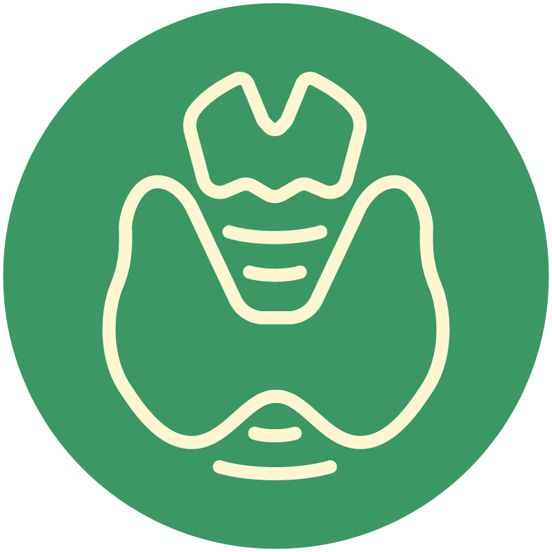 Thyroid, Hashimoto, &amp; Graves diseases
