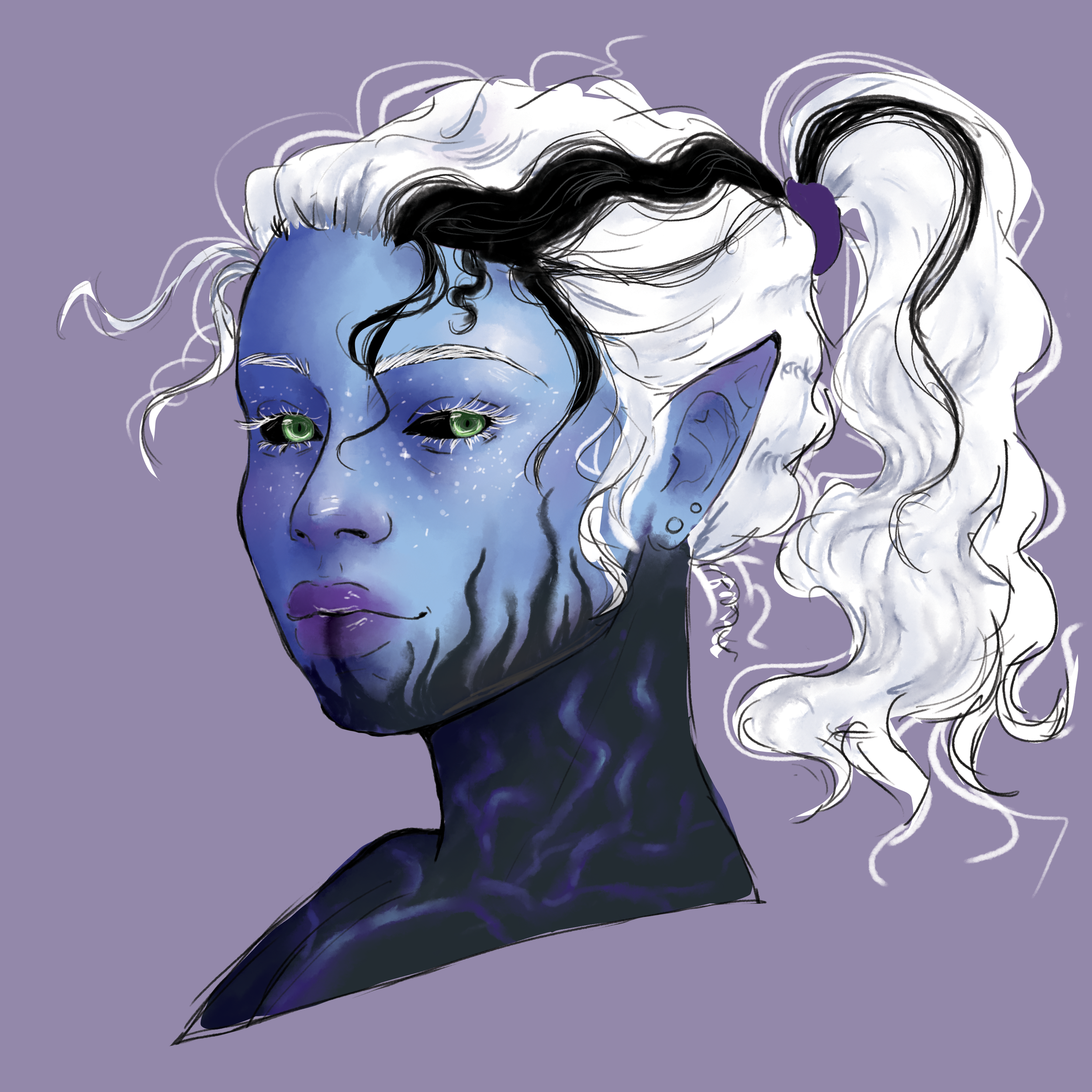 rory new markings.png