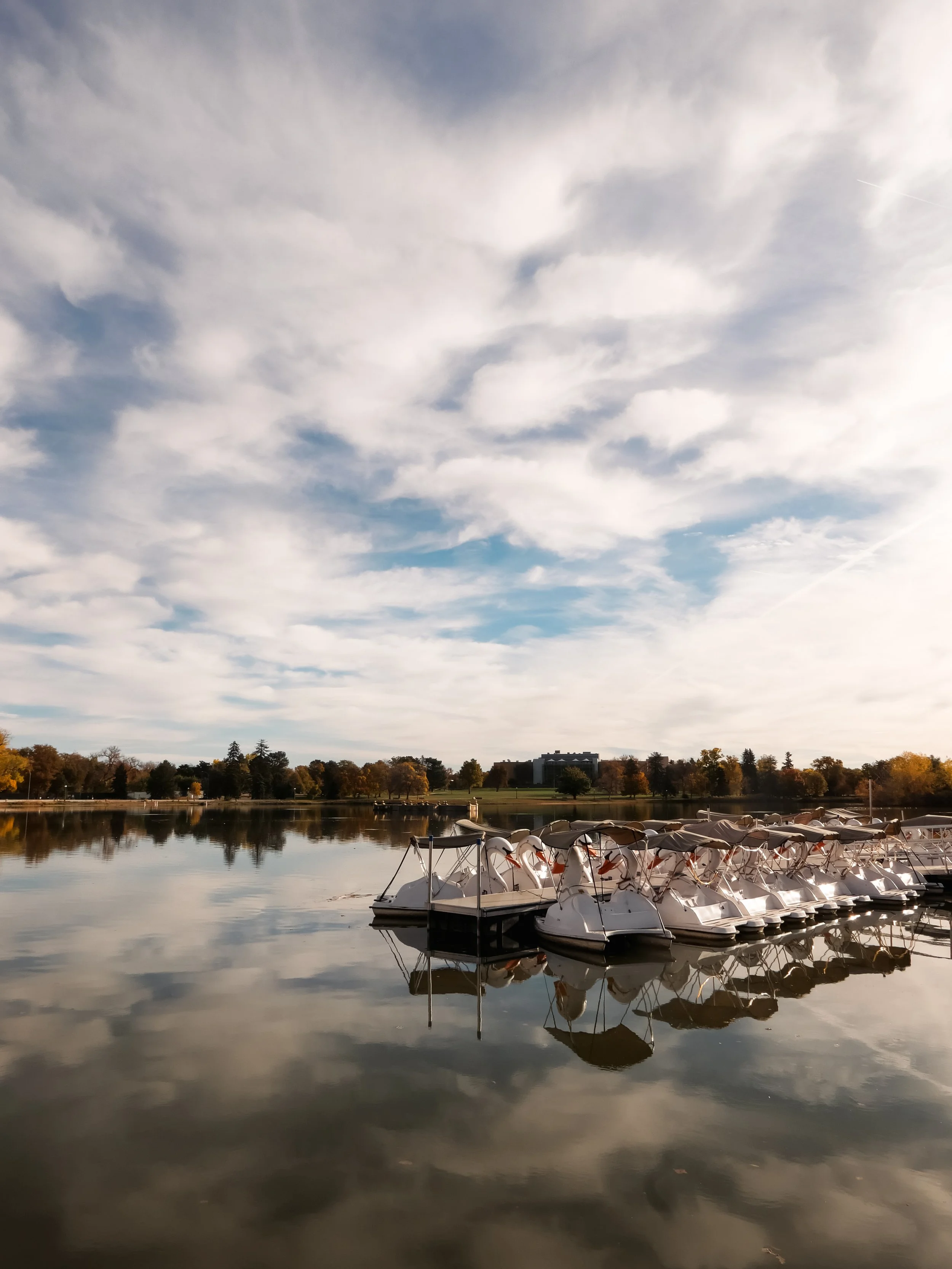 A calm lake with a row of white paddle boats docked at a marina, reflecting clouds and trees on the water, with a building and trees in the background.