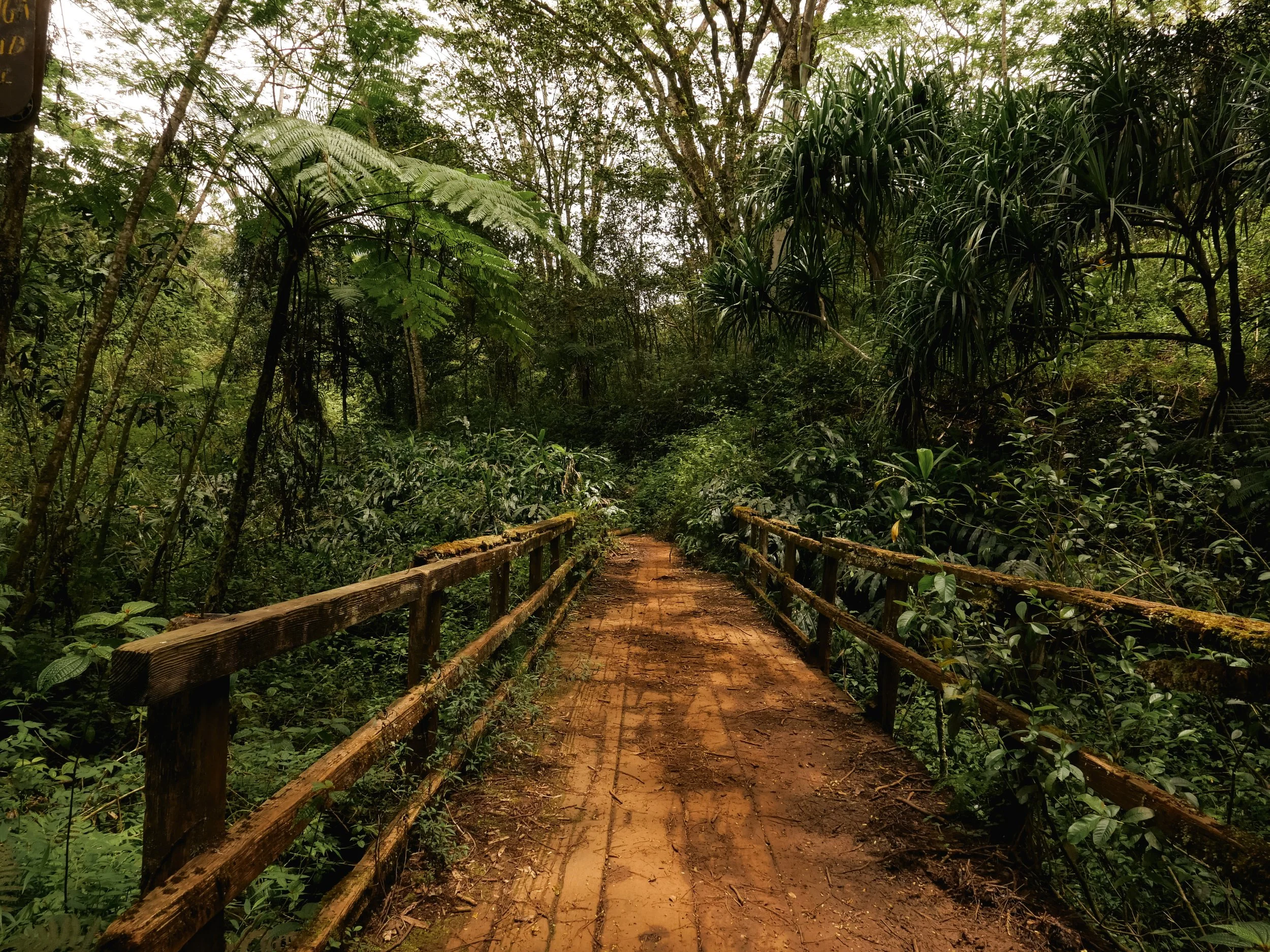 Kauai, Hawaii