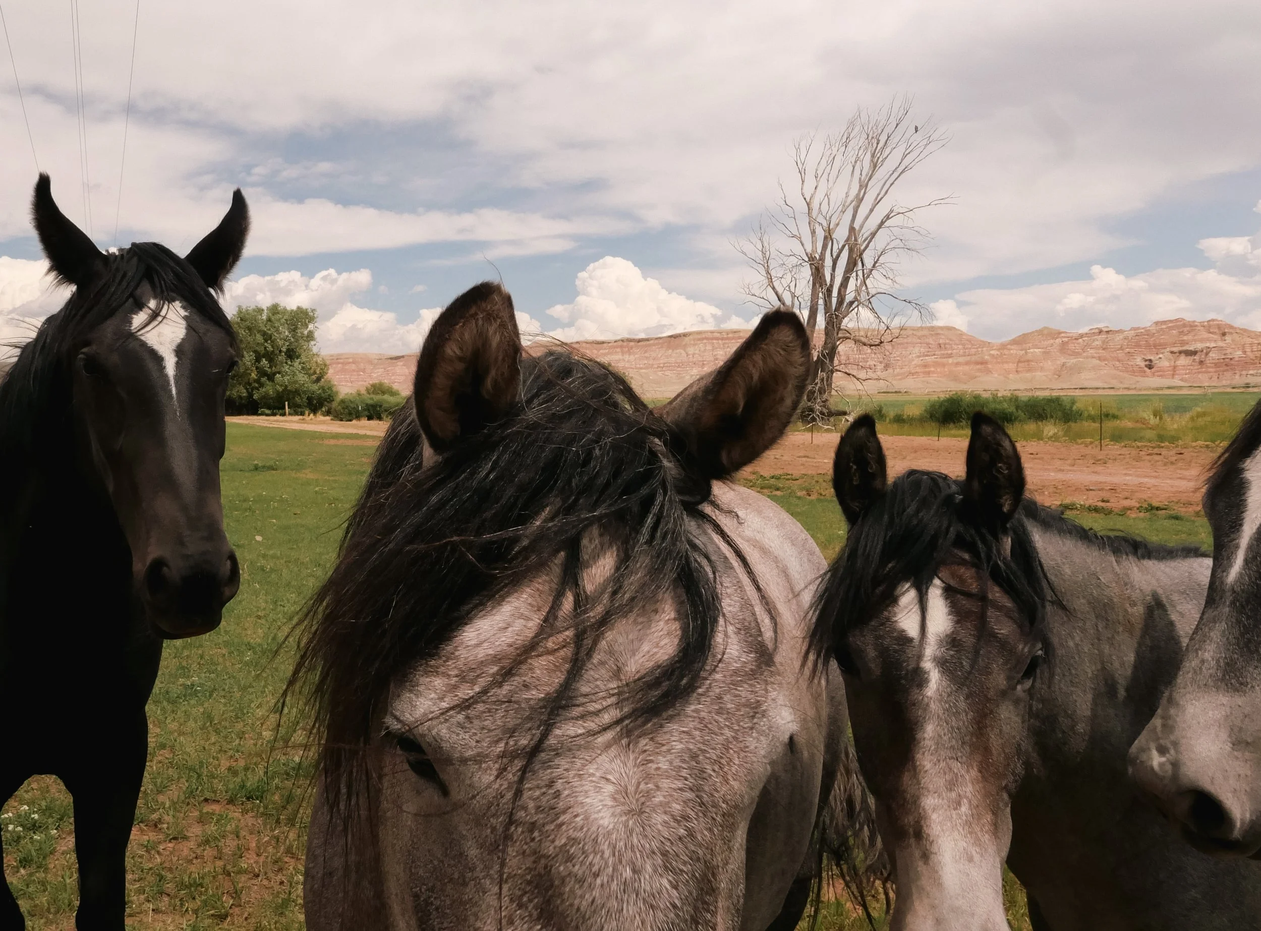 Wyoming, US